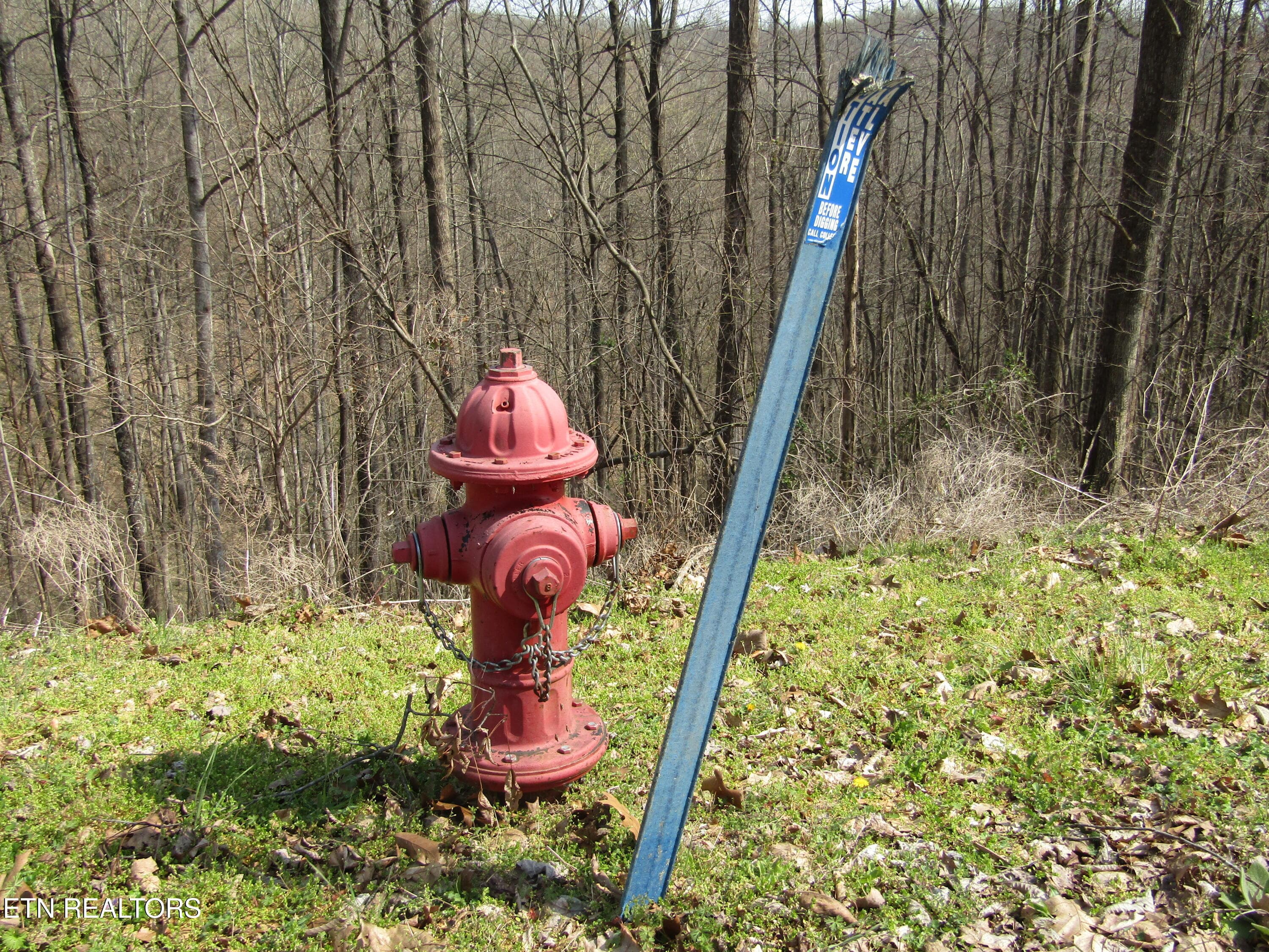 IMG_6565 - Lot 28 Hunters S Landing Lane, Smithville, TN 37166, Smithville
