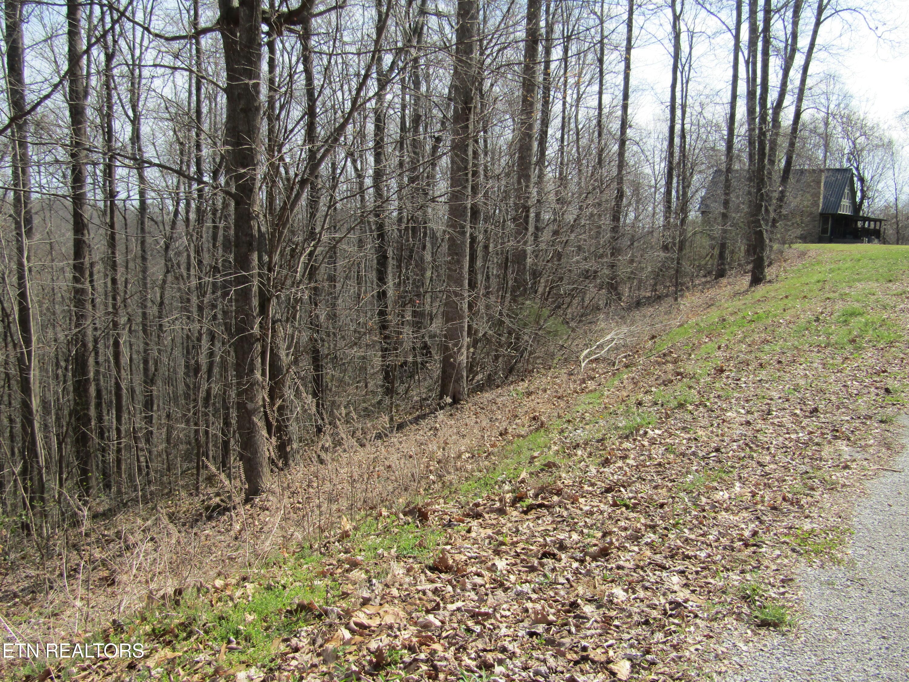 IMG_6566 - Lot 28 Hunters S Landing Lane, Smithville, TN 37166, Smithville