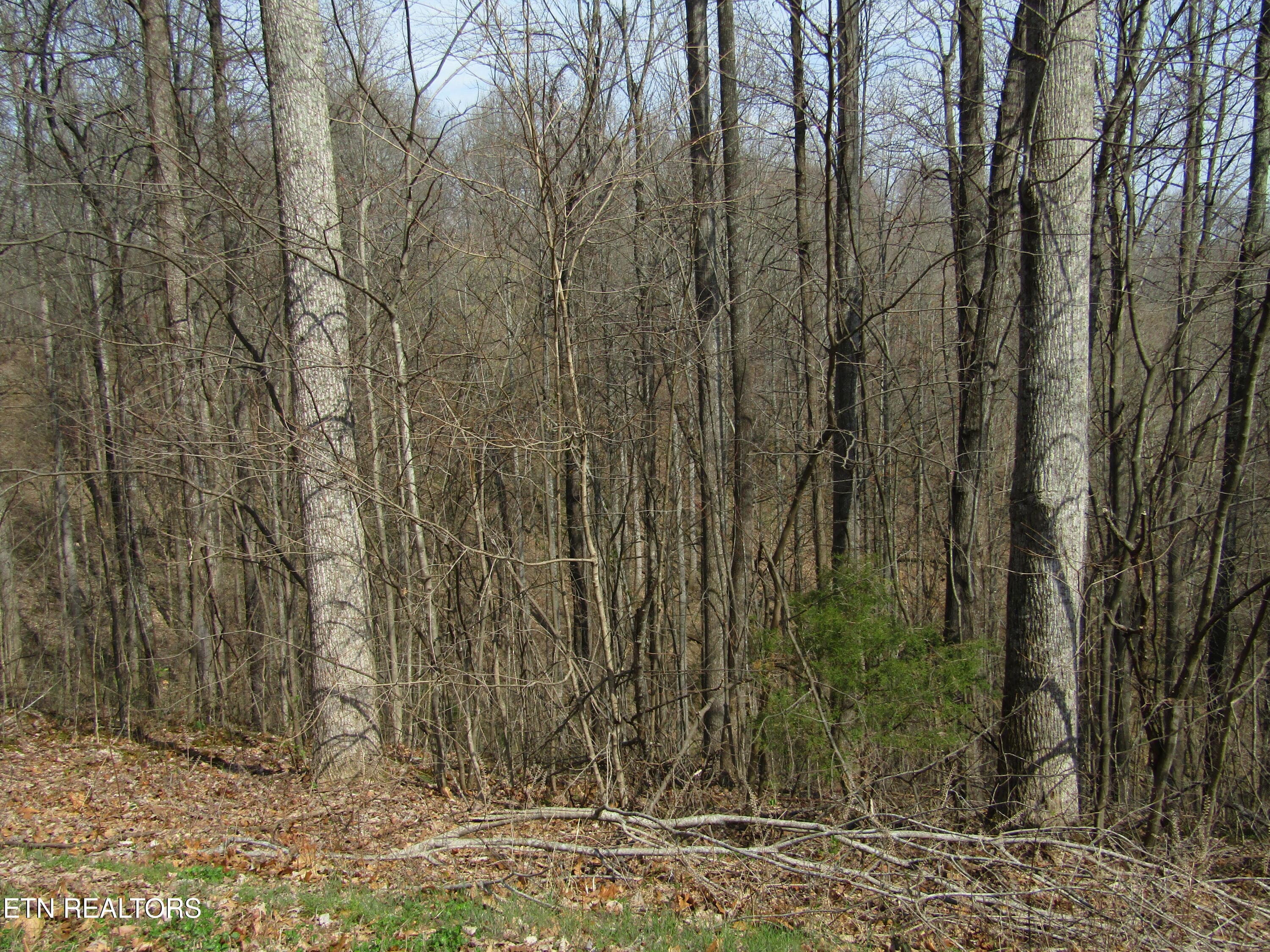 IMG_6567 - Lot 28 Hunters S Landing Lane, Smithville, TN 37166, Smithville
