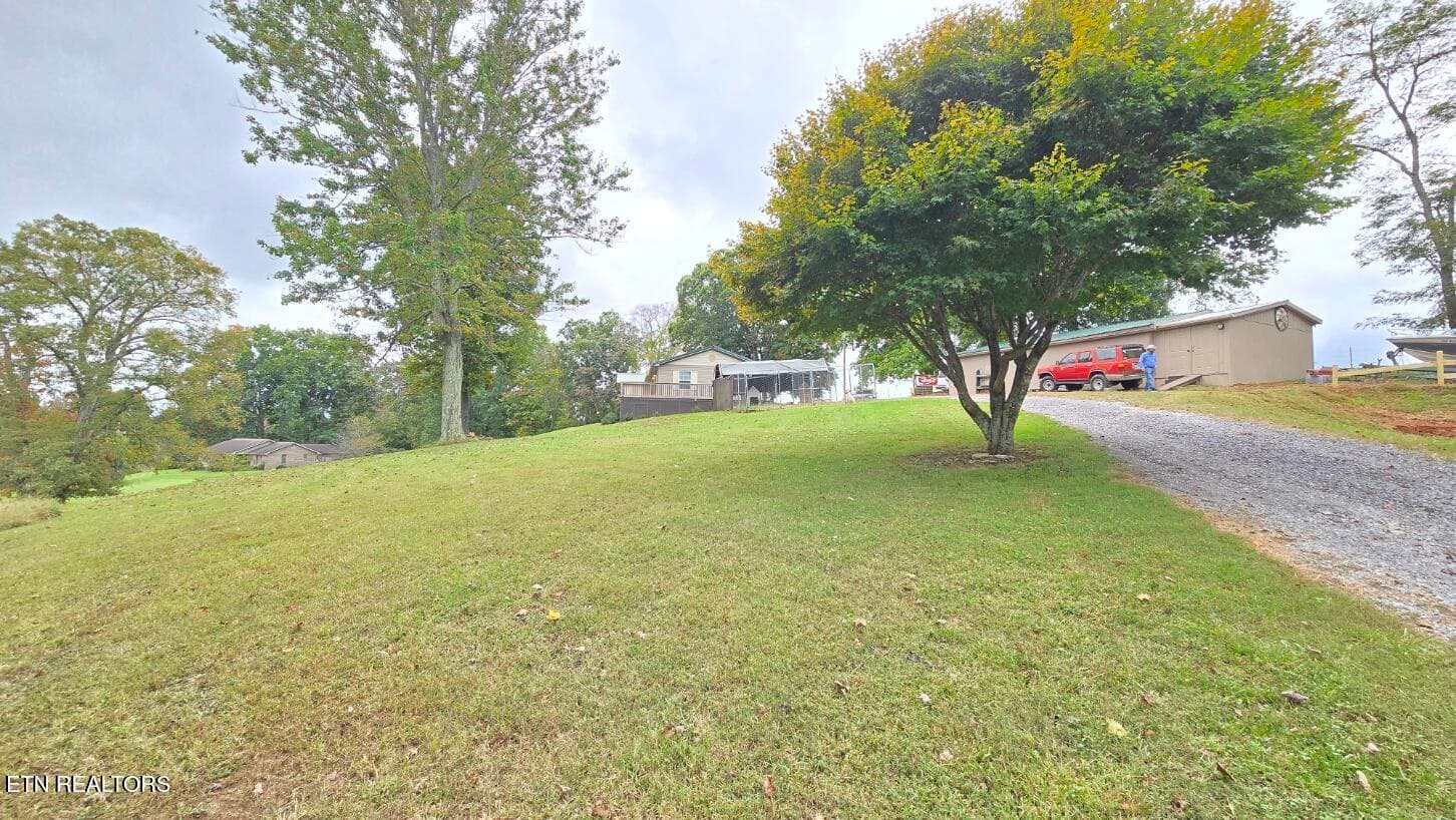 Road - 1672 Old Nursery Rd, Rose Hill, VA 24281, Rose Hill