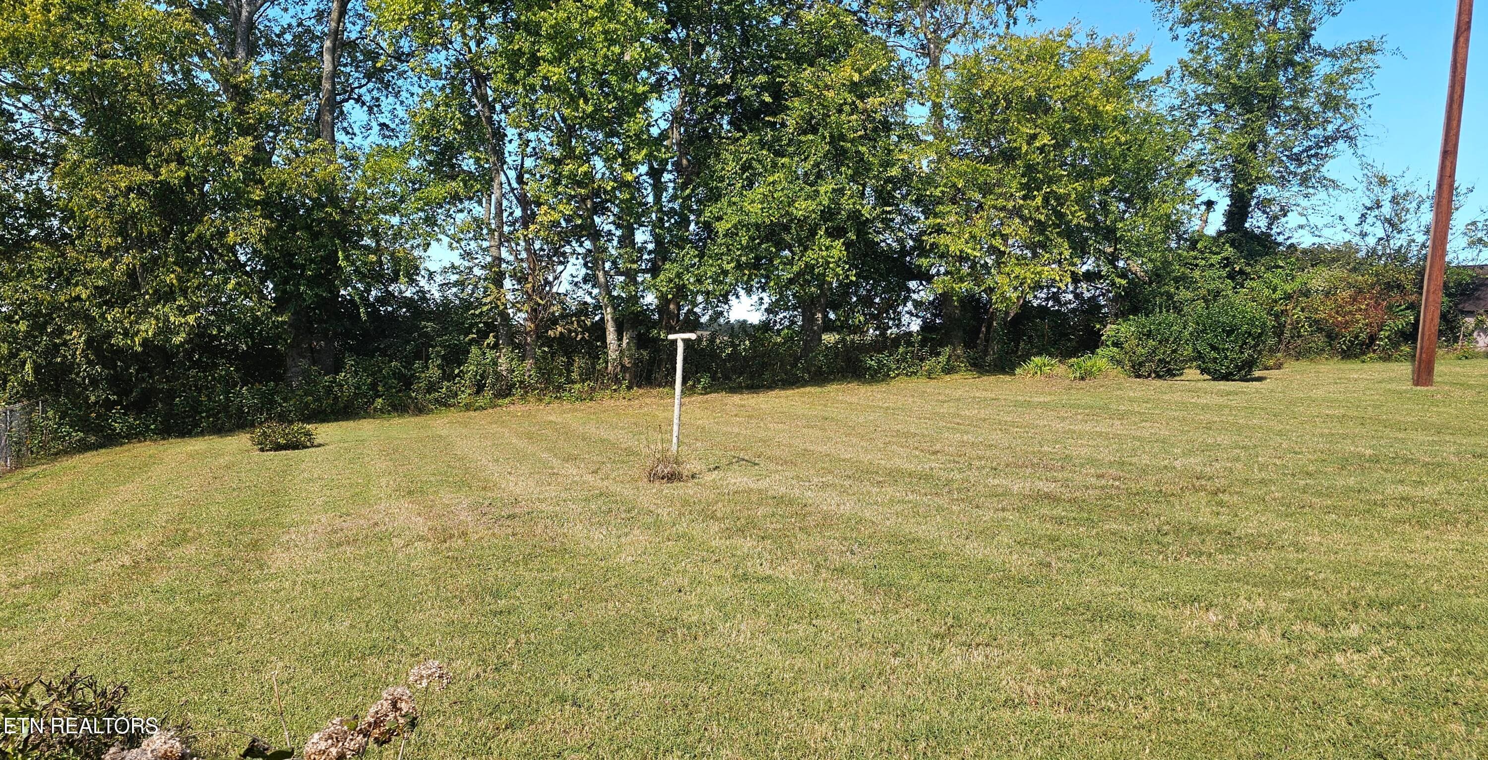 Back Yard - 224 Helton St, Kodak, TN 37764, Kodak