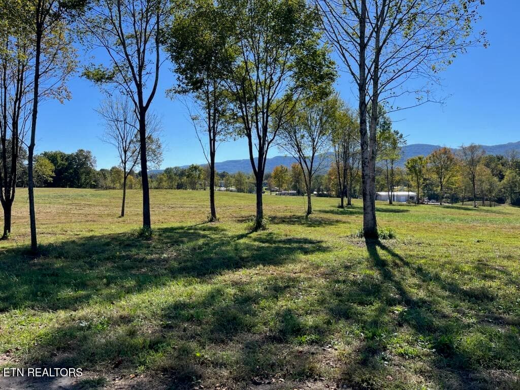 lot 1 chadwell - Stone Mill Lot 1 Rd, Jacksboro, TN 37757, Jacksboro