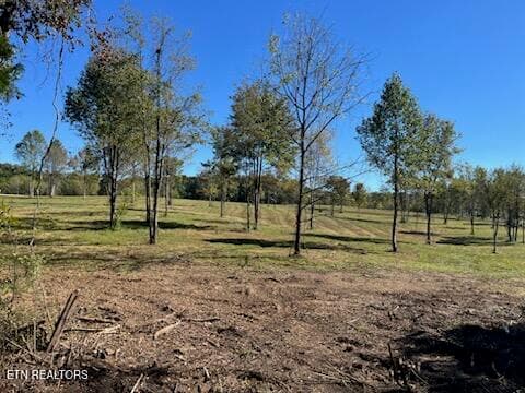 lot 4 chadwell - Stone Mill Lot 4 Rd, Jacksboro, TN 37757, Jacksboro