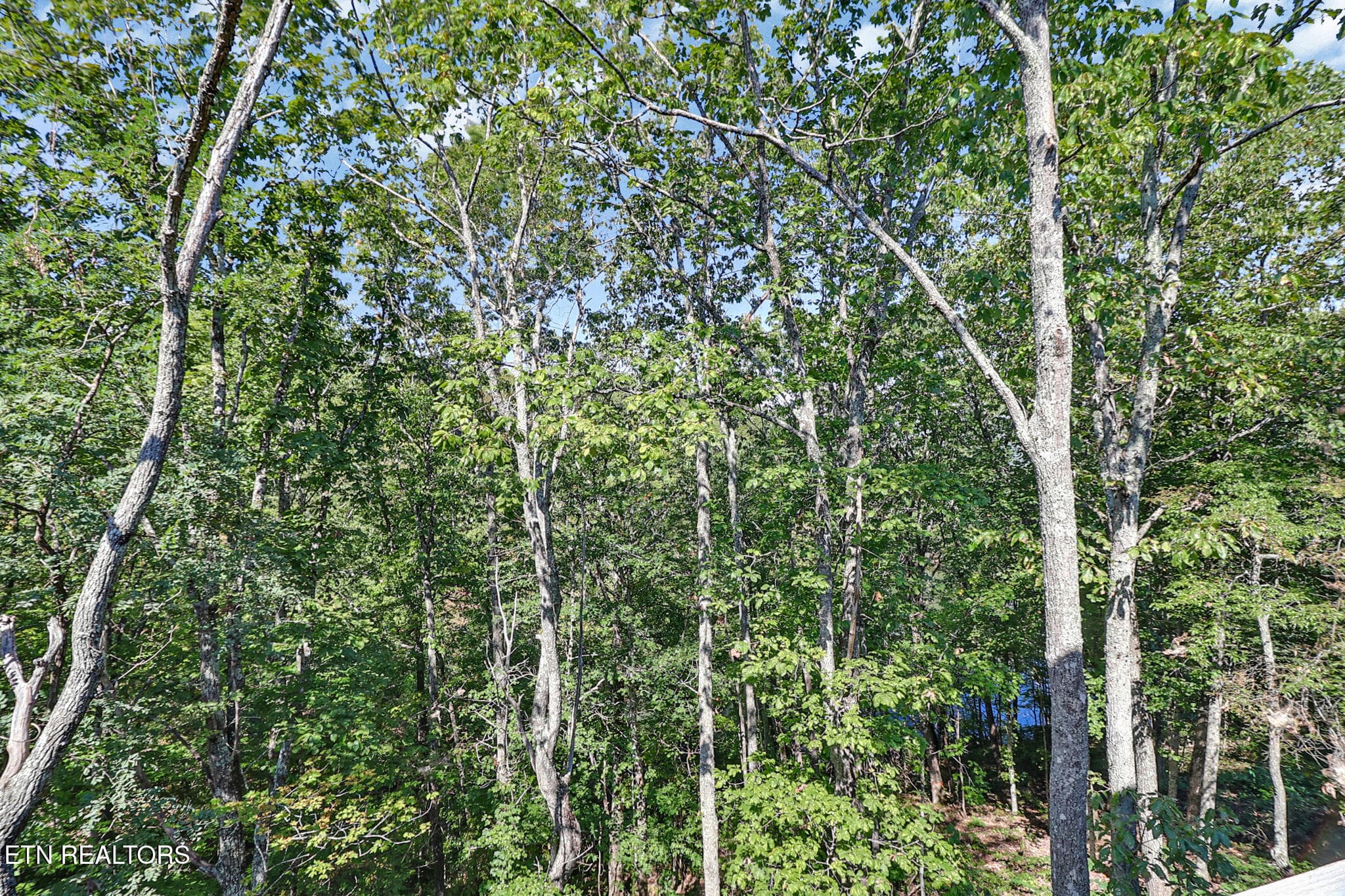 n44a0728-n44a0732 - 145 Moytoy Rd 206, Crab Orchard, TN 37723, Crab Orchard