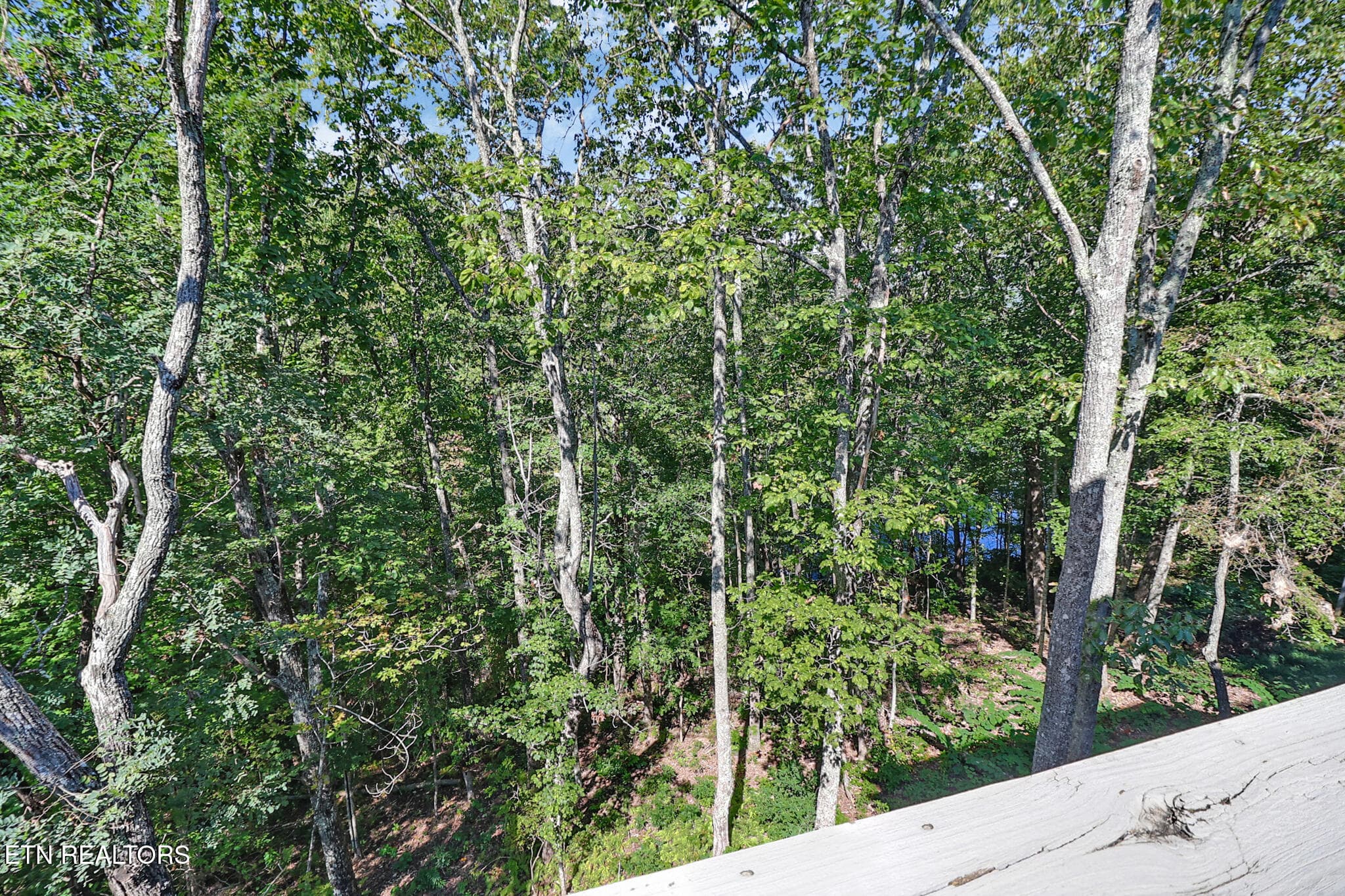 n44a0733-n44a0737 - 145 Moytoy Rd 206, Crab Orchard, TN 37723, Crab Orchard