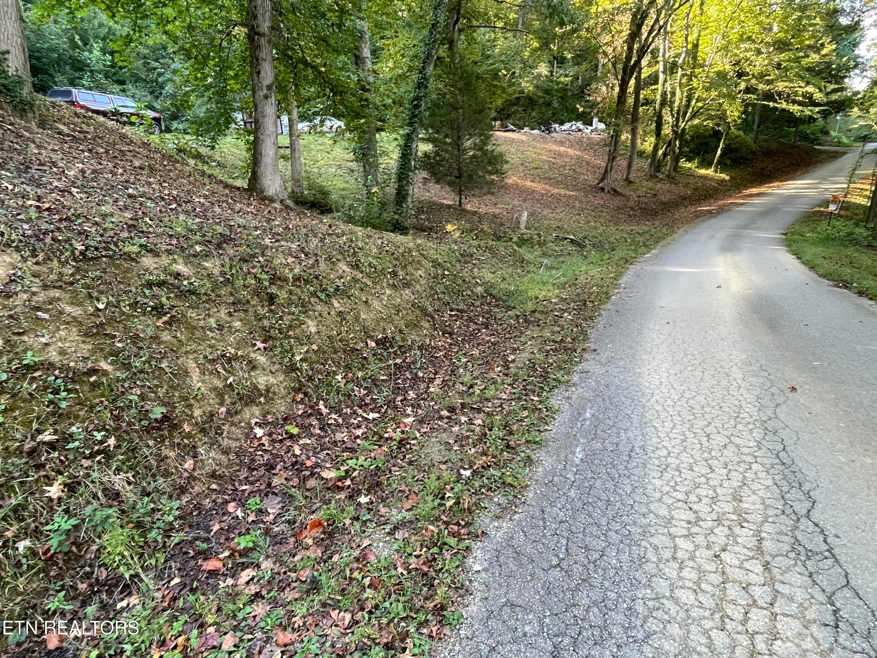 IMG_7225 - 389 Shady Pine Lane, Newcomb, TN 37819, Newcomb