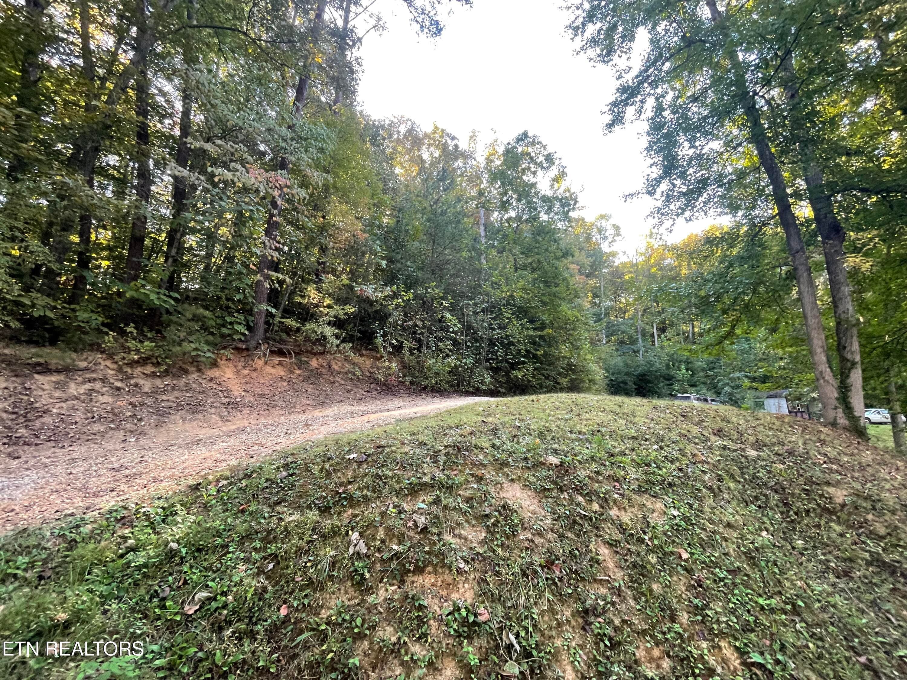 IMG_7227 - 389 Shady Pine Lane, Newcomb, TN 37819, Newcomb