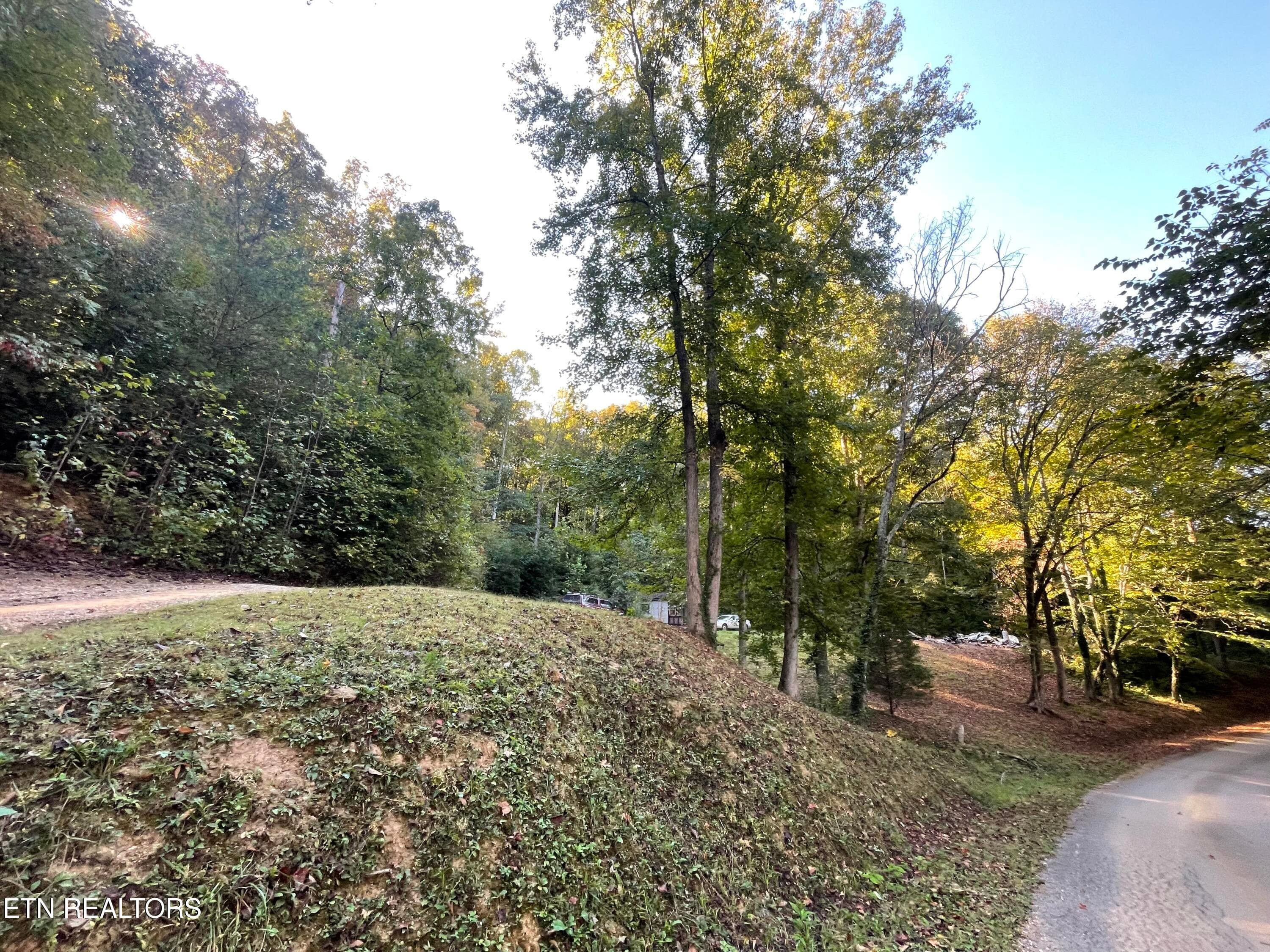IMG_7228 - 389 Shady Pine Lane, Newcomb, TN 37819, Newcomb
