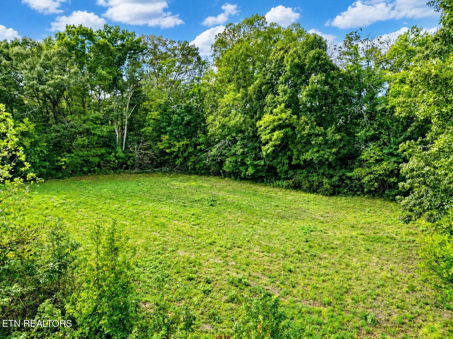 92-web-or-mls-DJI_0126-HDR-2 - 8504 Rosada Drive, Ooltewah, TN 37363, Ooltewah