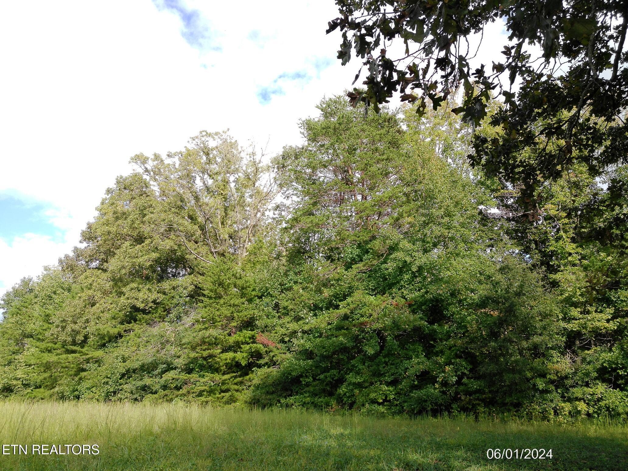 DSCF0012 - Ridge Rd, Maryville, TN 37803, Maryville