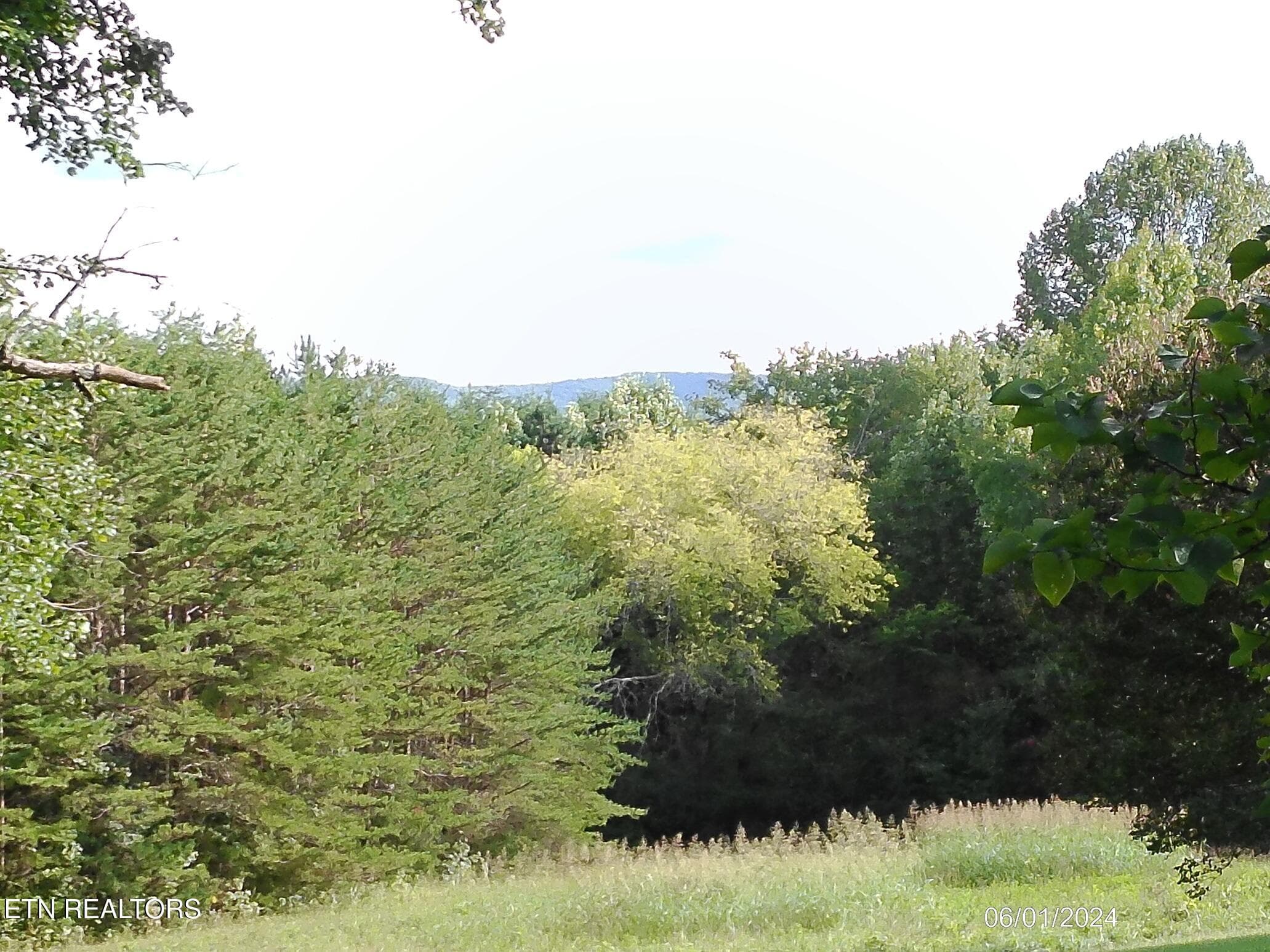 DSCF0017 - Ridge Rd, Maryville, TN 37803, Maryville