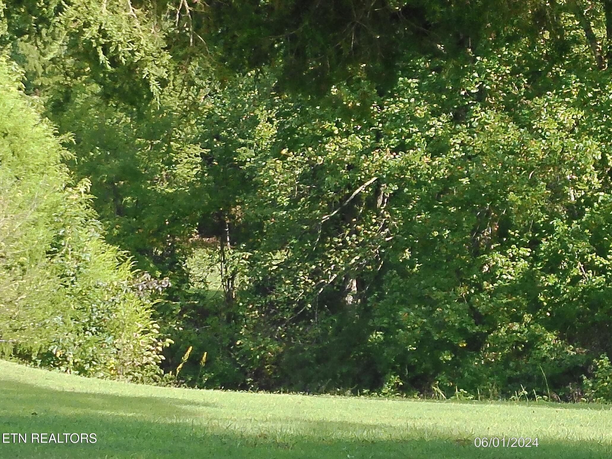 DSCF0018 - Ridge Rd, Maryville, TN 37803, Maryville