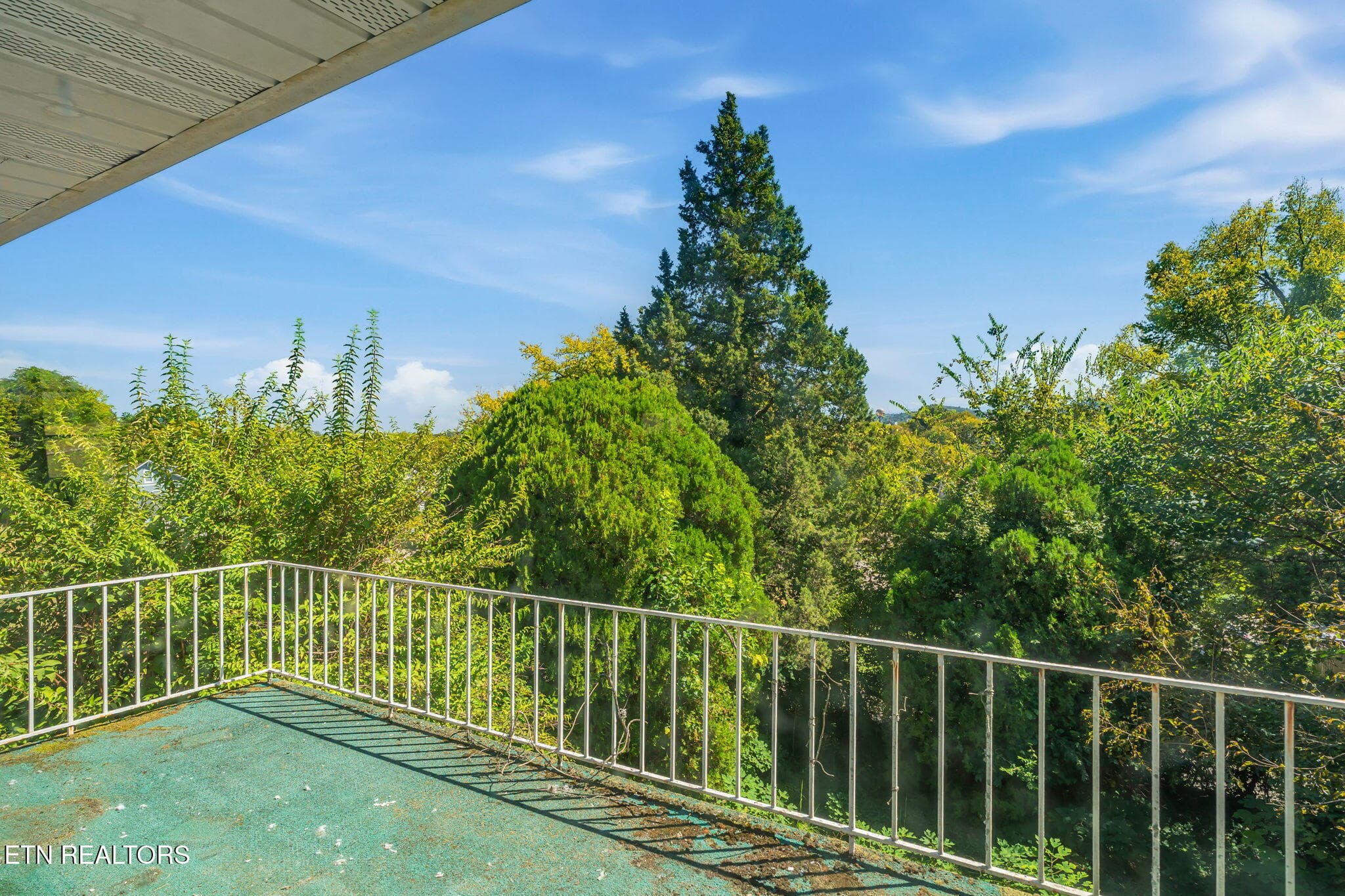 Porch off of Upstairs - 1500 Exeter Ave, Knoxville, TN 37921, Knoxville