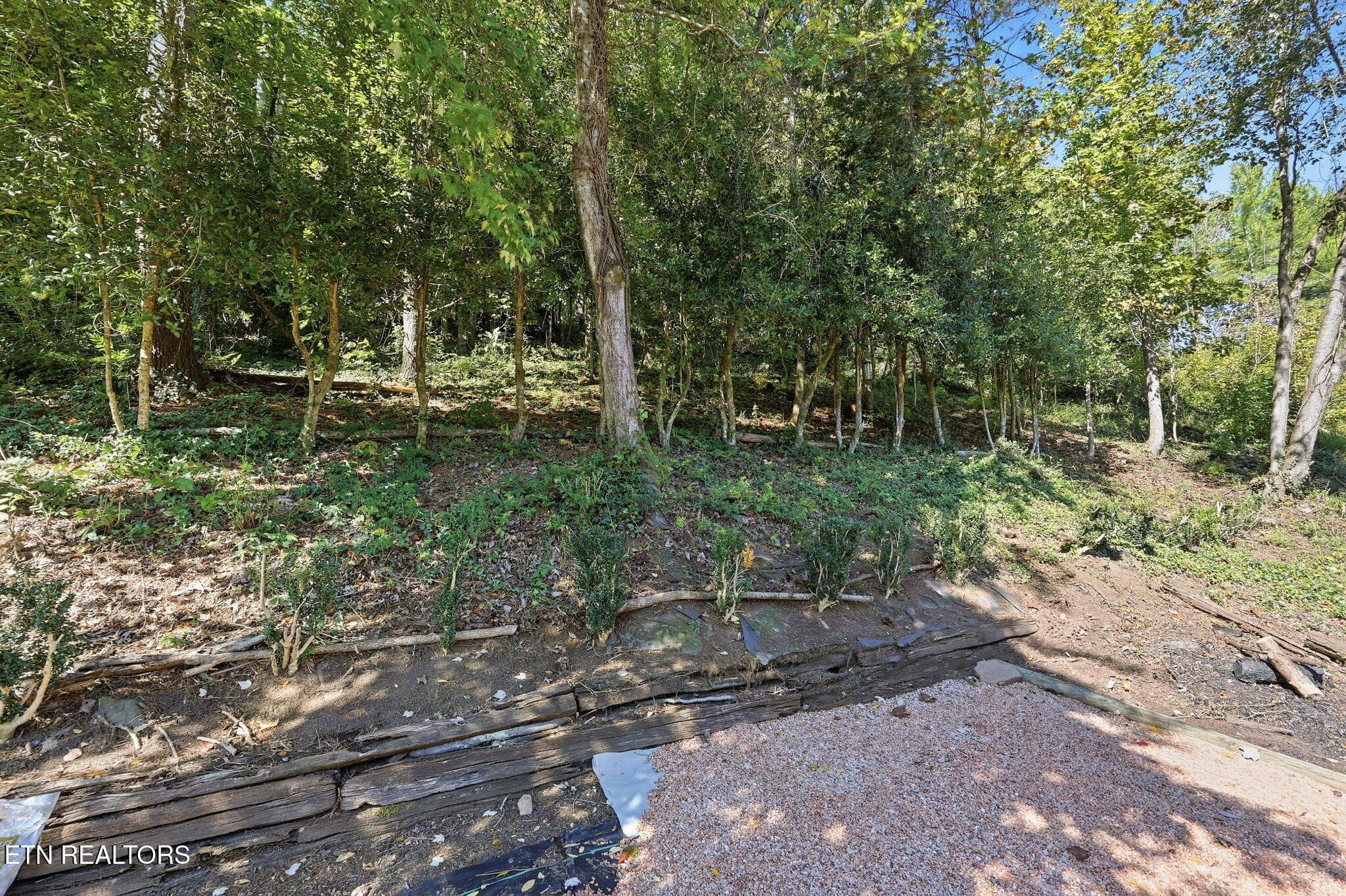52-web-or-mls-052_103Amanda - 103 Amanda Place, Oak Ridge, TN 37830, Oak Ridge