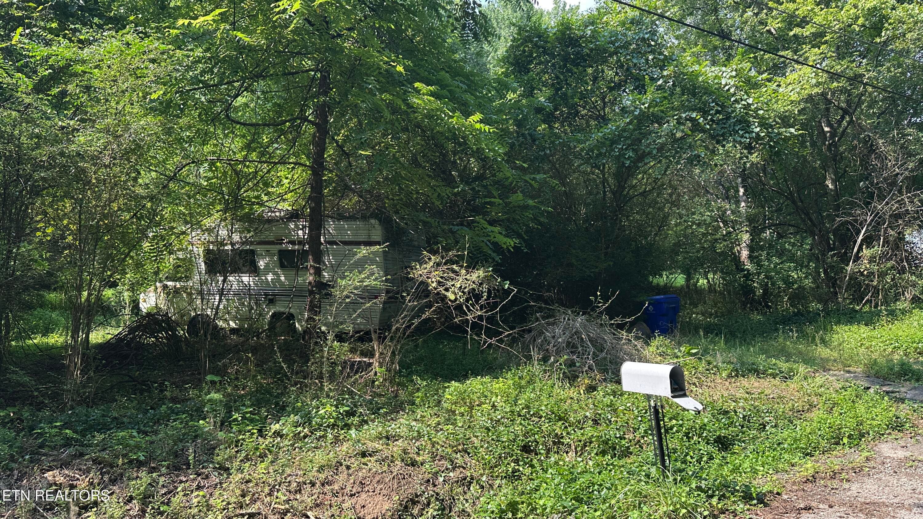IMG_4673 - 1011 Bazel Rd, Harriman, TN 37748, Harriman