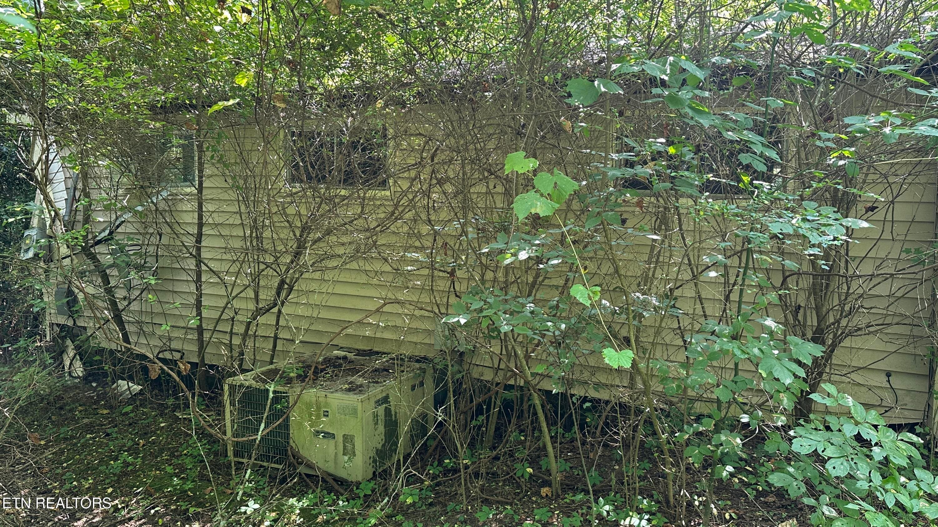 IMG_4624 - 1011 Bazel Rd, Harriman, TN 37748, Harriman