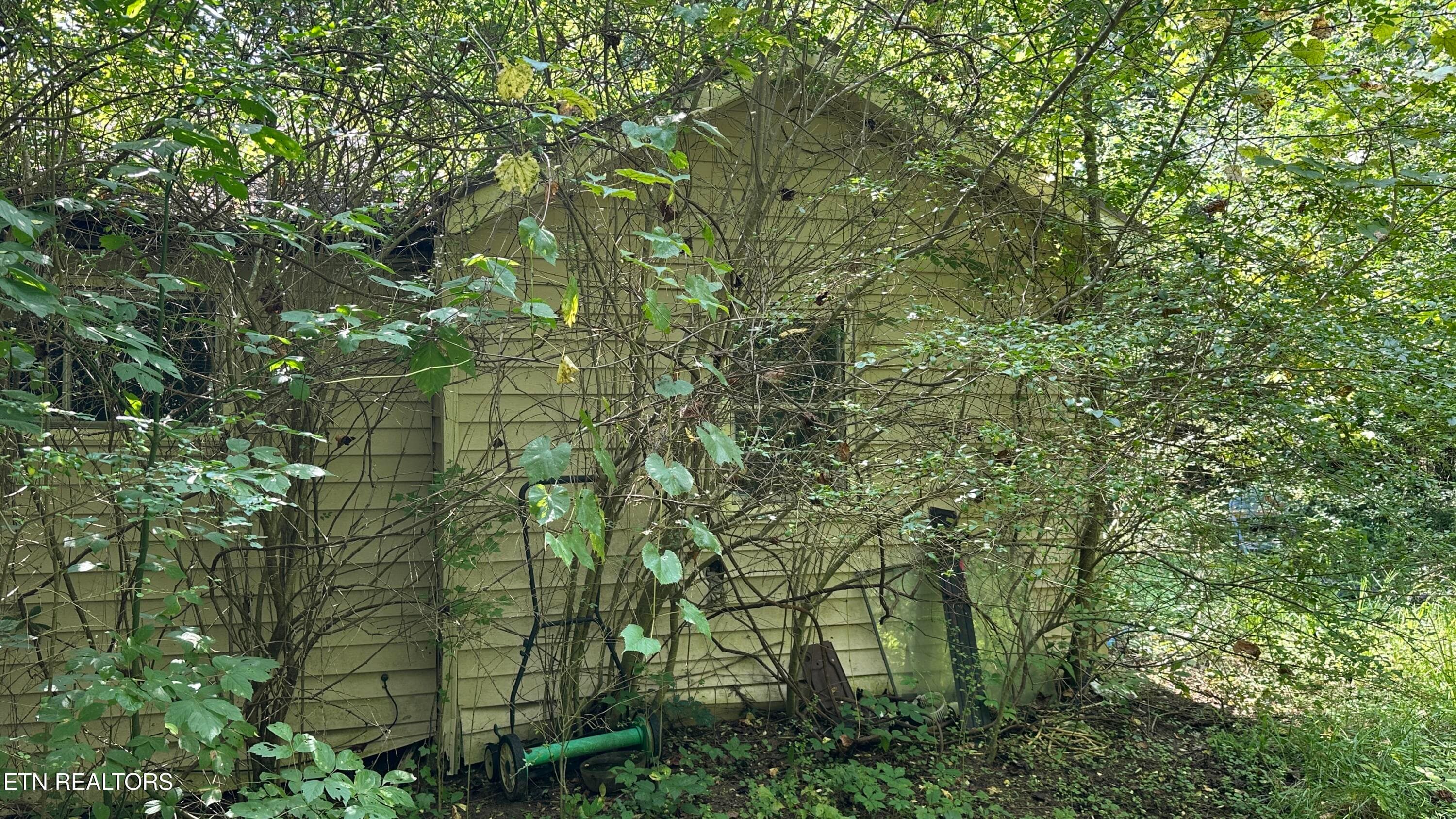 IMG_4622 - 1011 Bazel Rd, Harriman, TN 37748, Harriman