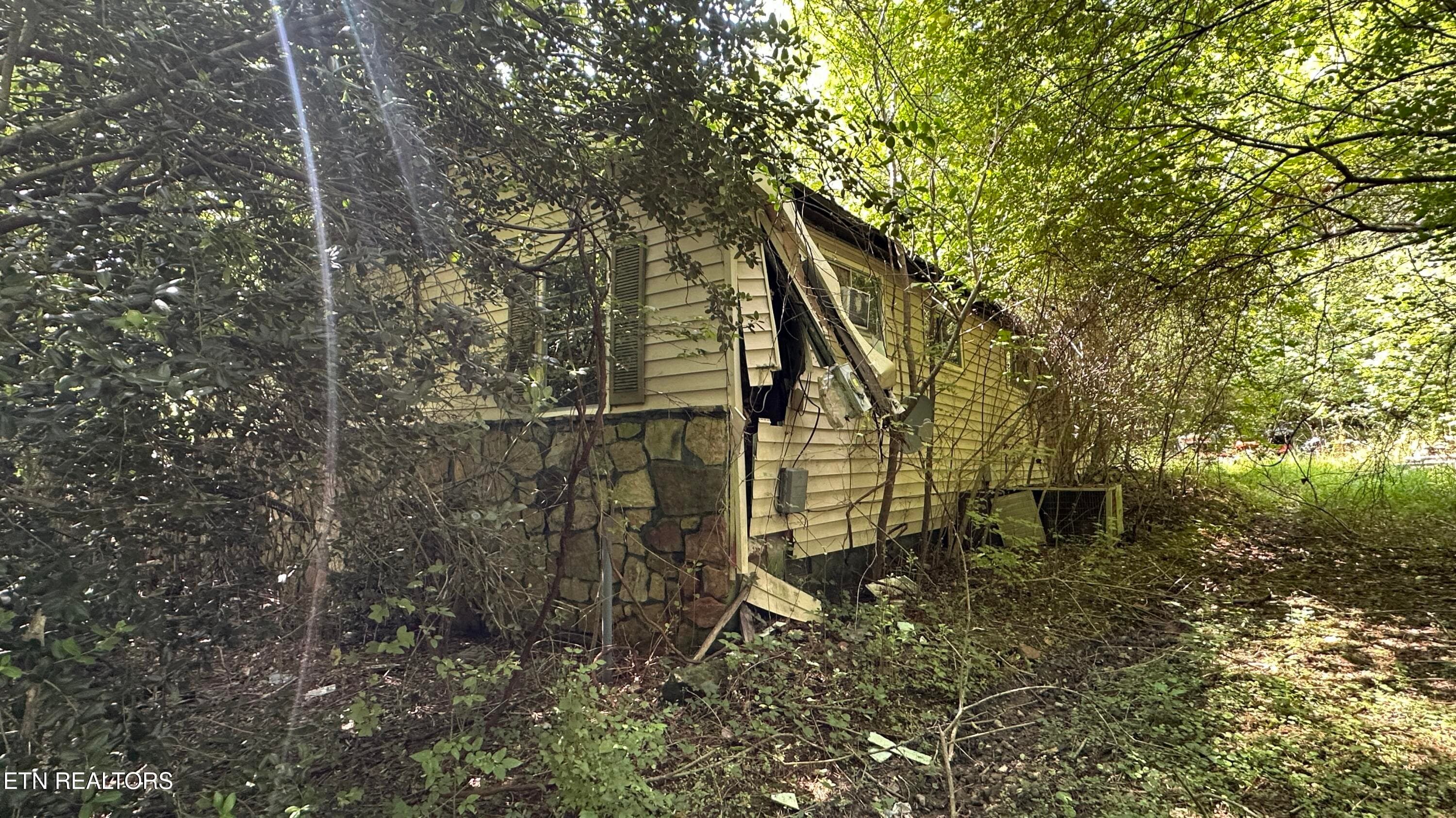 IMG_4615 - 1011 Bazel Rd, Harriman, TN 37748, Harriman
