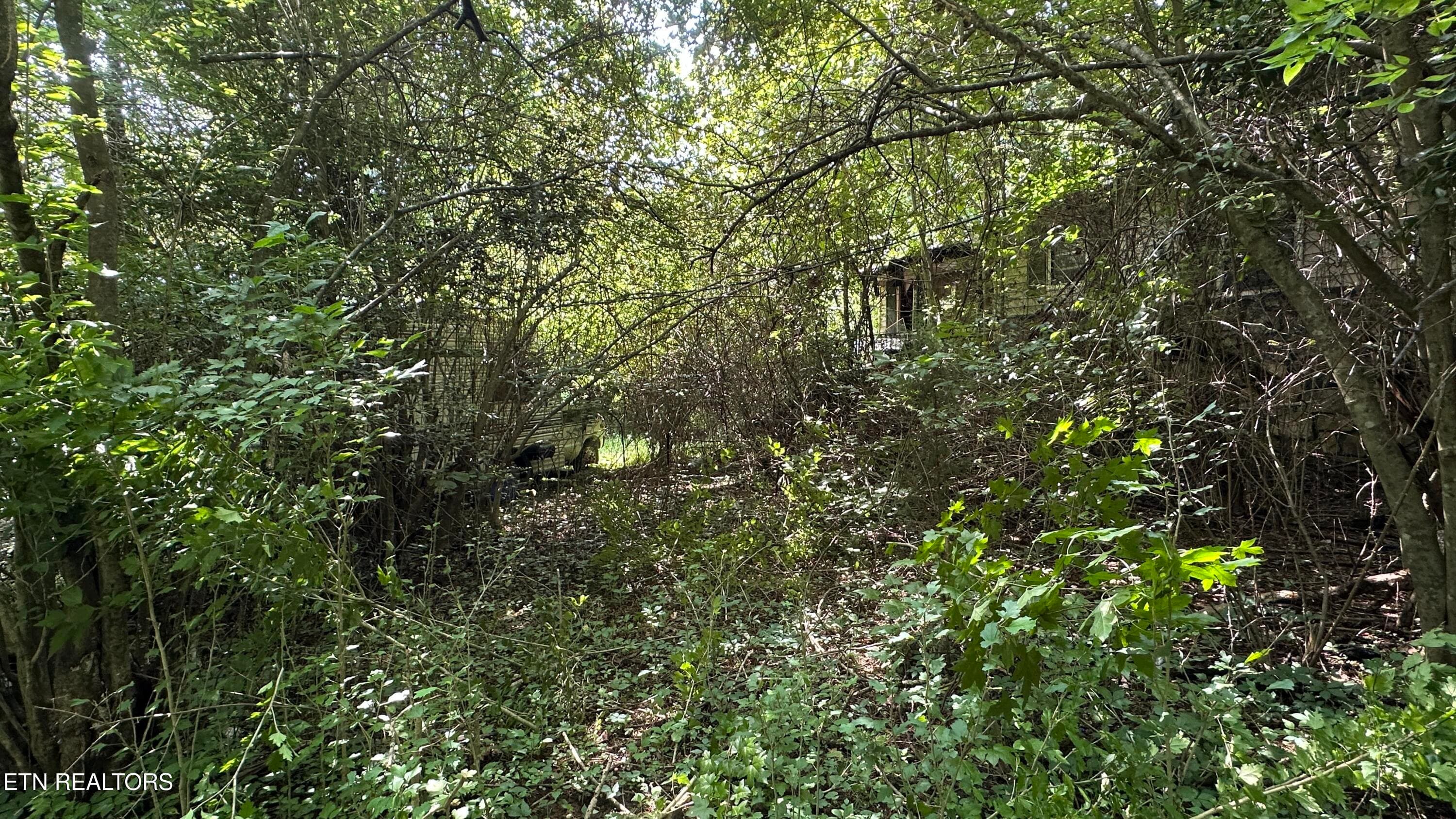 IMG_4614 - 1011 Bazel Rd, Harriman, TN 37748, Harriman