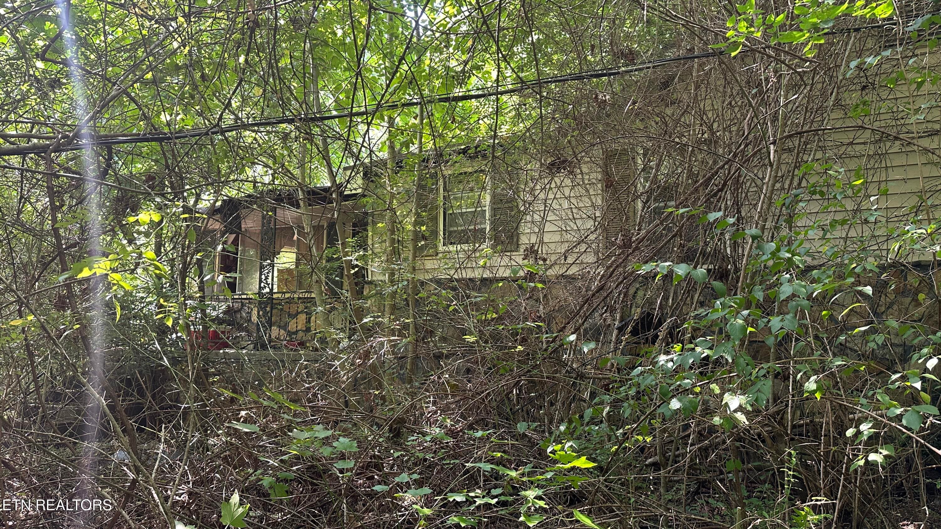 IMG_4610 - 1011 Bazel Rd, Harriman, TN 37748, Harriman