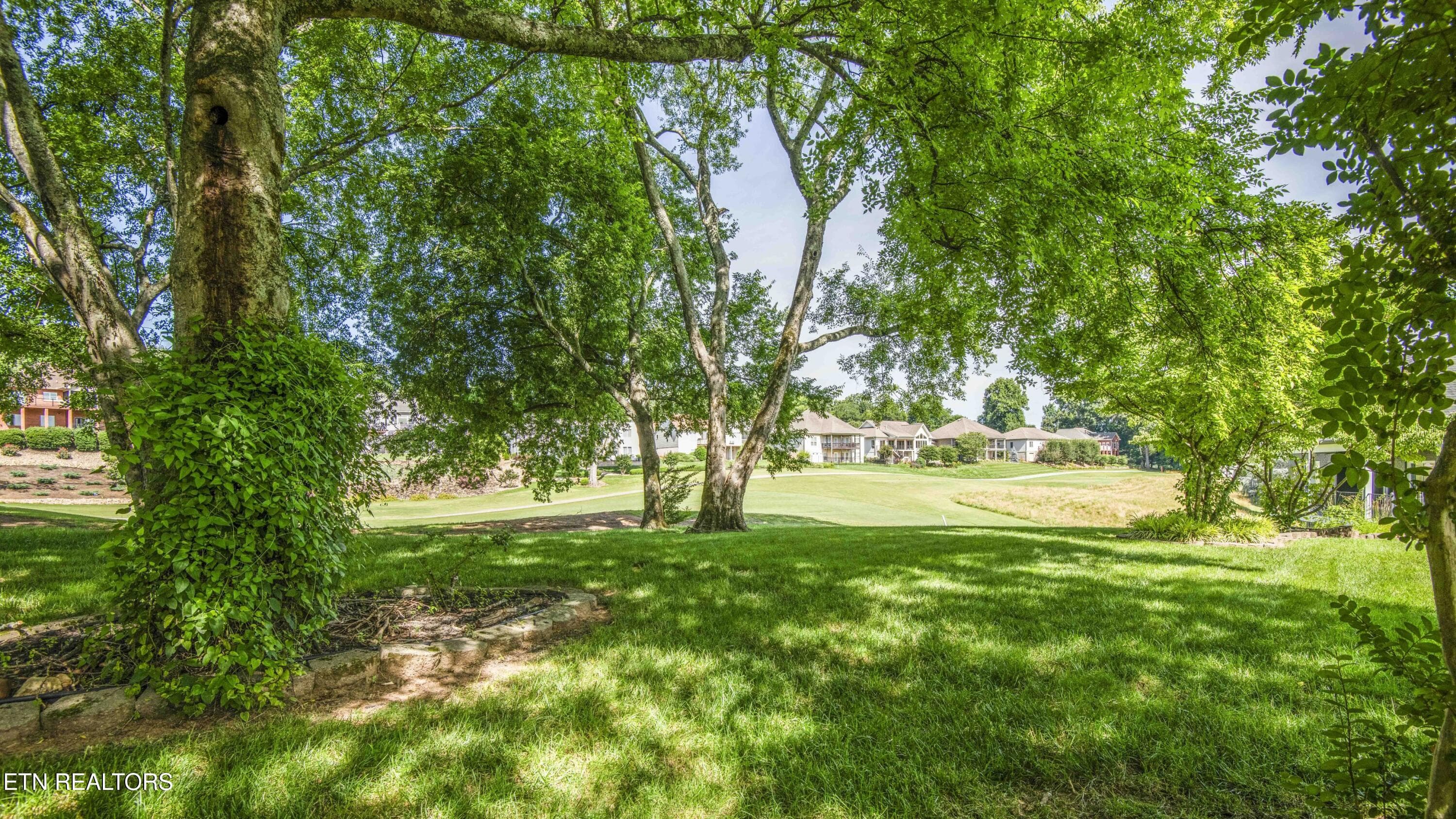 back yard - 212 Tooweka Lane, Loudon, TN 37774