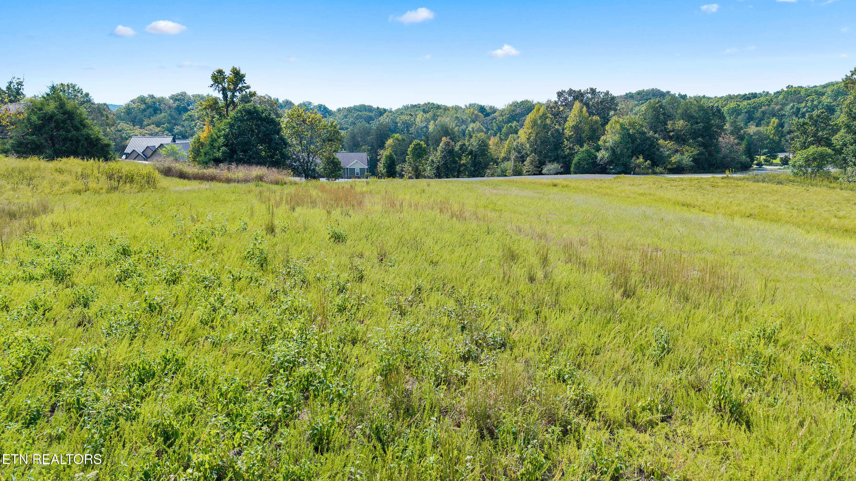 7 E Shore - 144 E Shore Drive, Rockwood, TN 37854, Rockwood