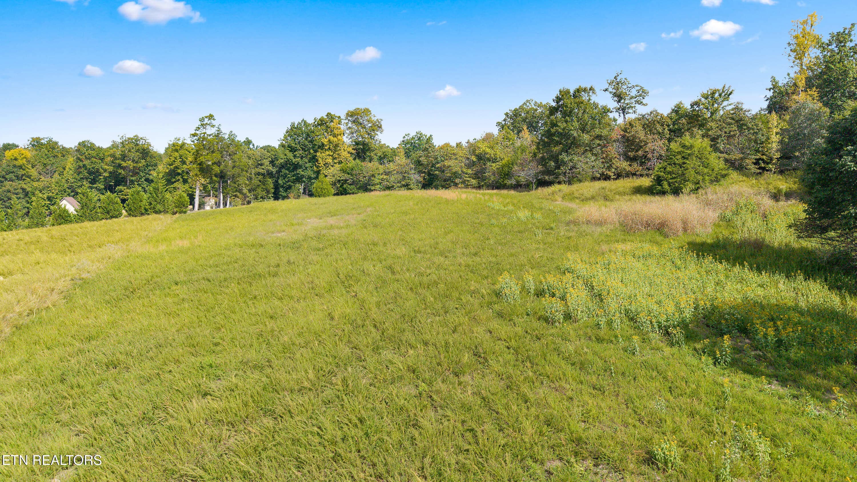 8 E Shore - 144 E Shore Drive, Rockwood, TN 37854, Rockwood