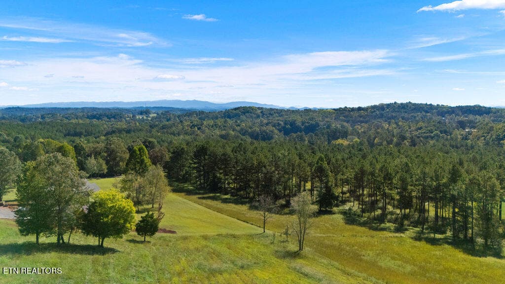 DJI_20261005111307_0061_D - 141 Overlook Way, Vonore, TN 37885, Vonore