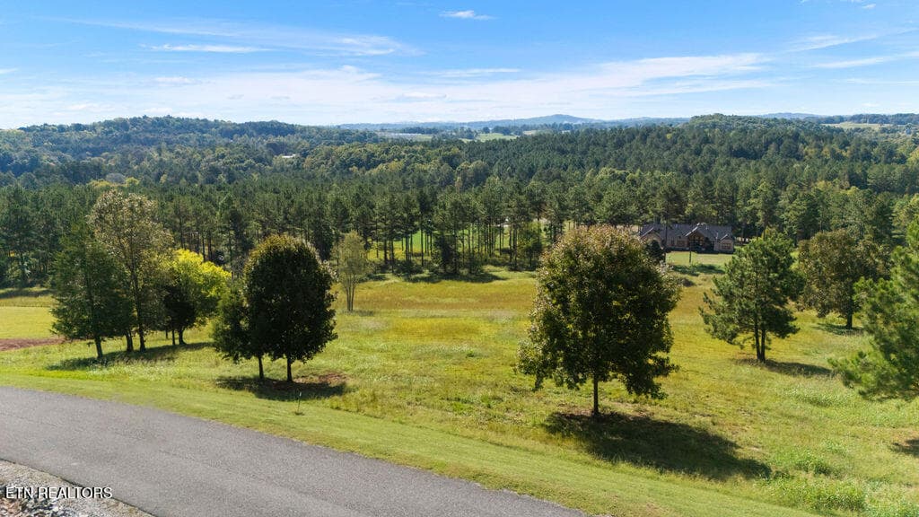 DJI_20261005111506_0071_D - 141 Overlook Way, Vonore, TN 37885, Vonore