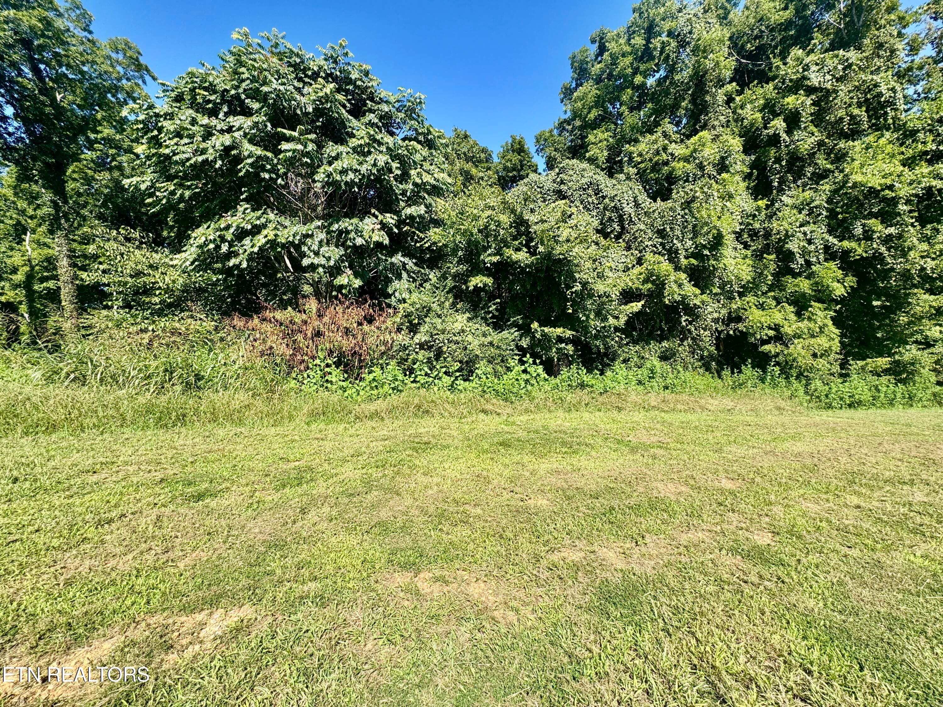 IMG_1970 - Lot 16 Bridgewater Blvd, Morristown, TN 37814, Morristown
