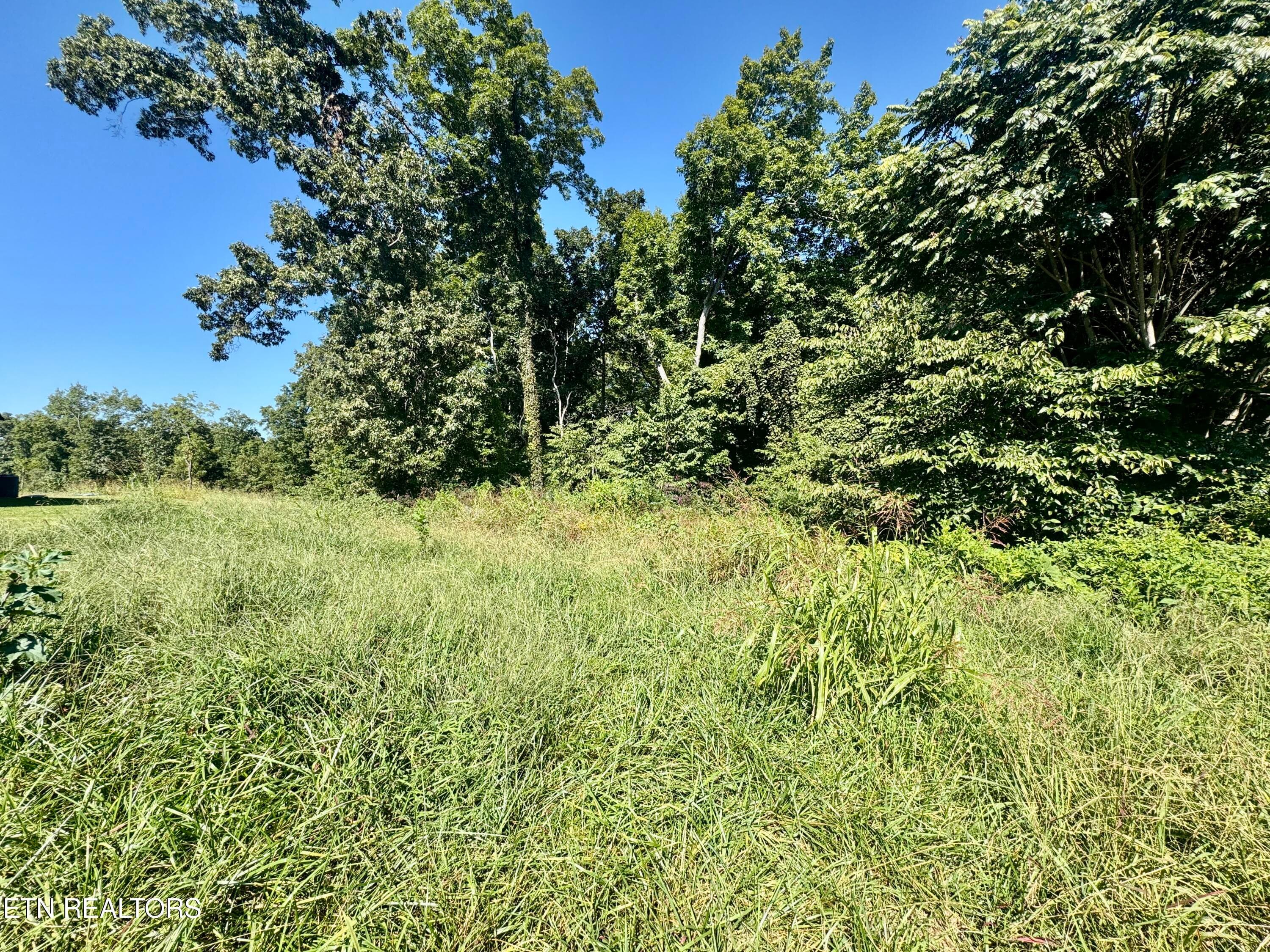 IMG_1967 - Lot 15 Bridgewater Blvd, Morristown, TN 37814, Morristown