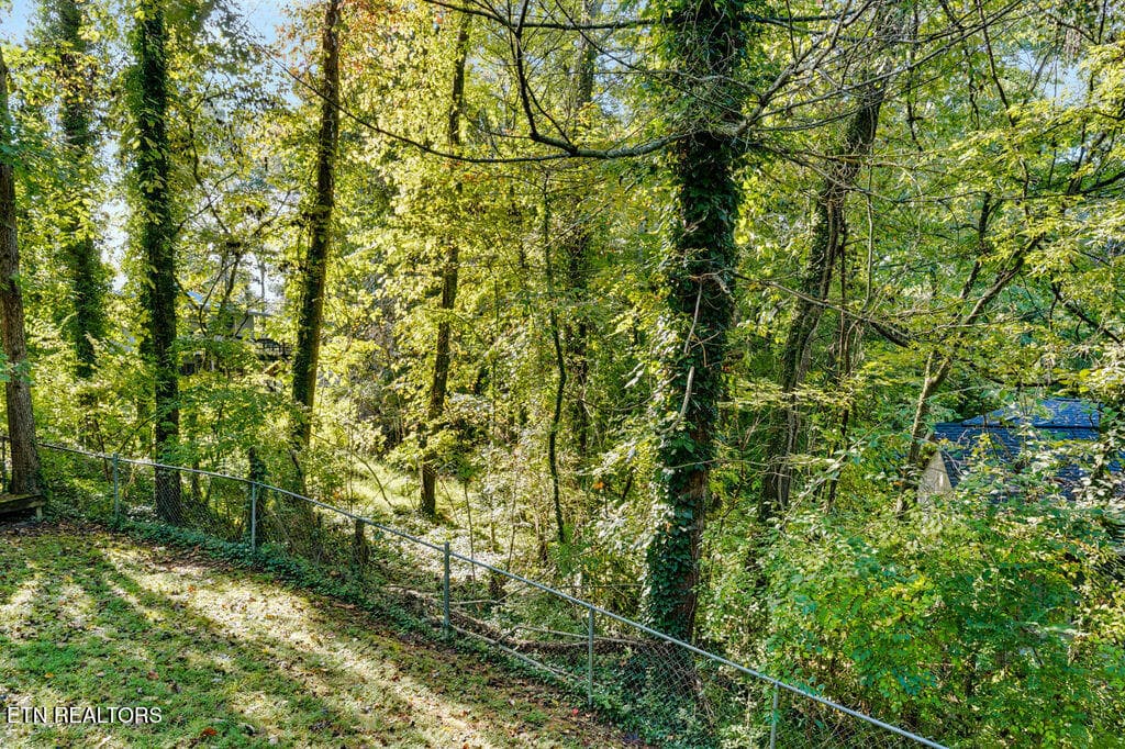 Back yard - 132 Taylor Rd, Oak Ridge, TN 37830, Oak Ridge