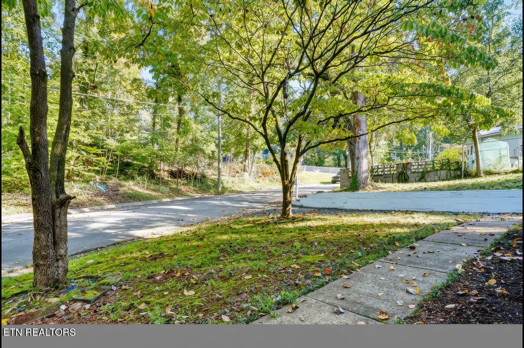 Front walkway - 132 Taylor Rd, Oak Ridge, TN 37830, Oak Ridge