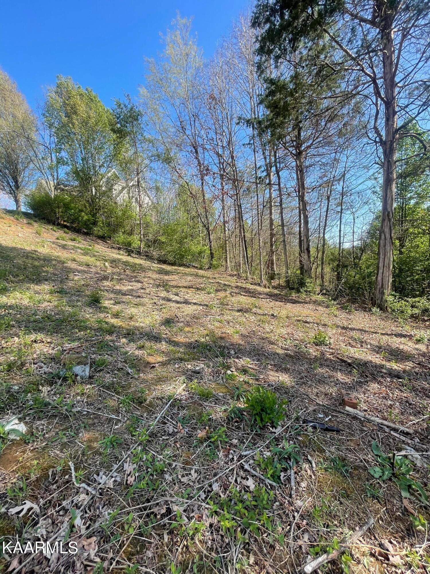 32DBDDE2-79B9-4D93-86DA-17DE59BCF94C - 1948 Winter Winds Lane, Knoxville, TN 37909, Knoxville