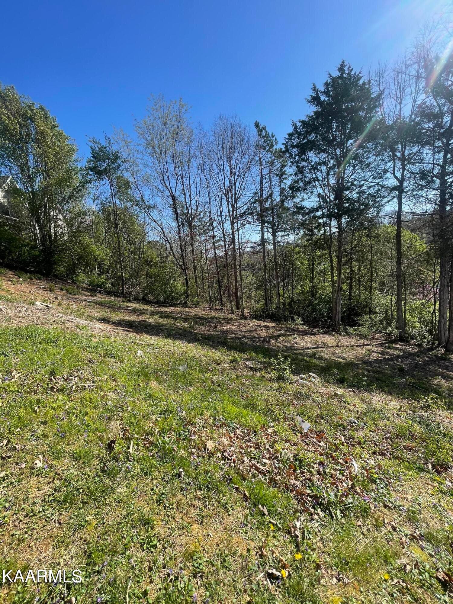 FF632288-FCC4-4D8B-BE96-1941C54146D7 - 1948 Winter Winds Lane, Knoxville, TN 37909, Knoxville