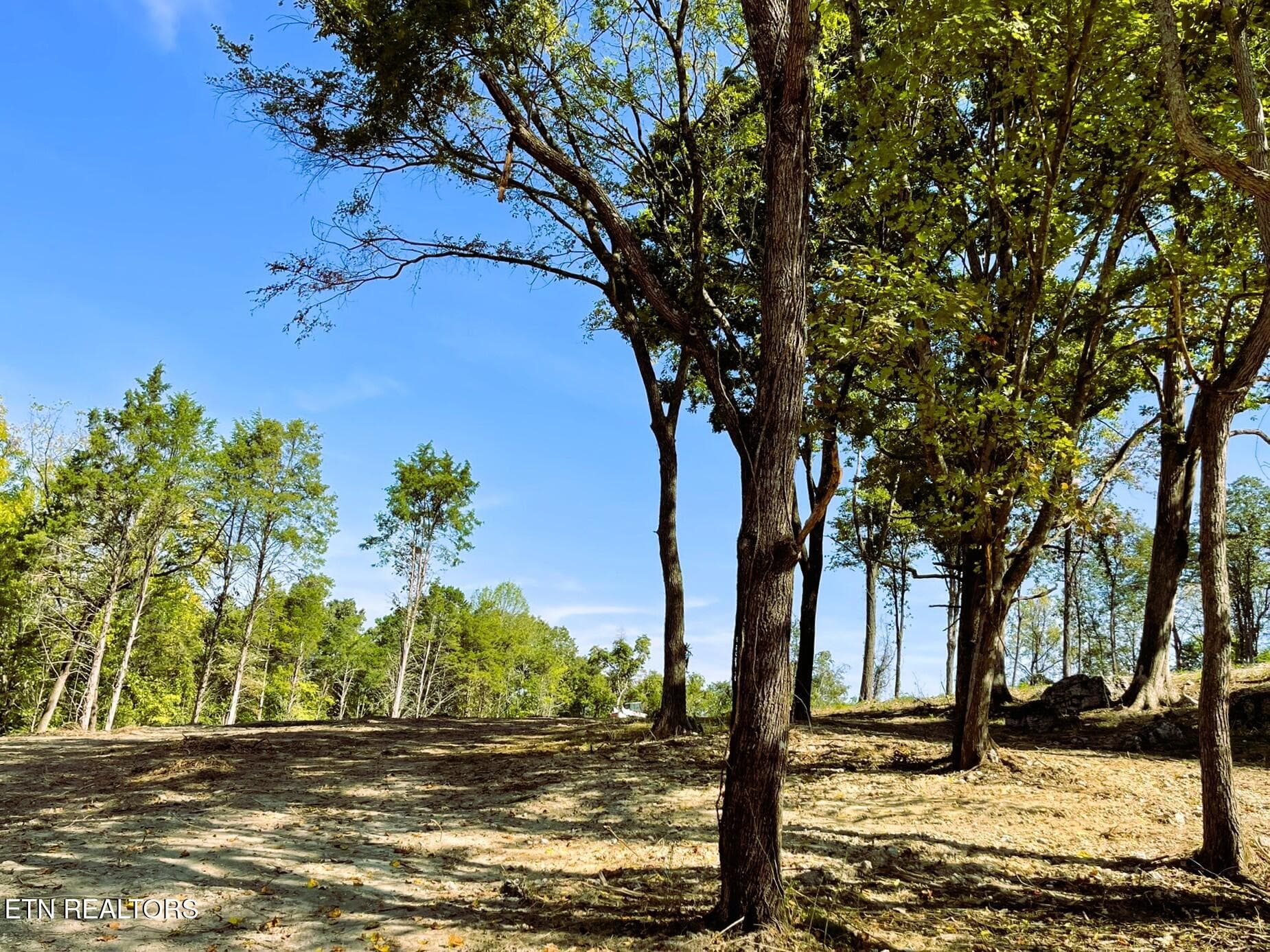 Lot 1 1 - Williams Bend Rd Lot 1, Knoxville, TN 37932, Knoxville