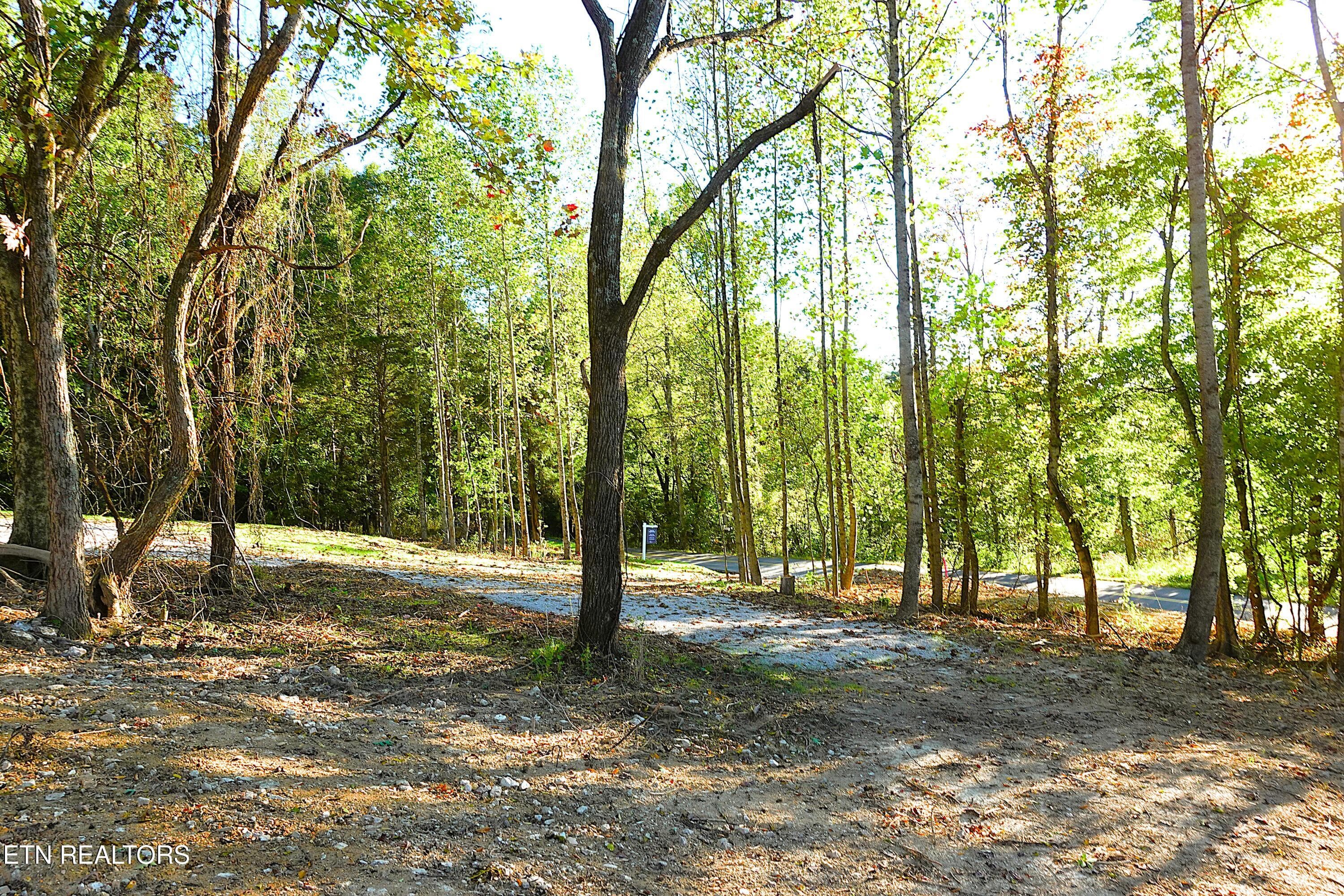 Lot 1 4 - Williams Bend Rd Lot 1, Knoxville, TN 37932, Knoxville