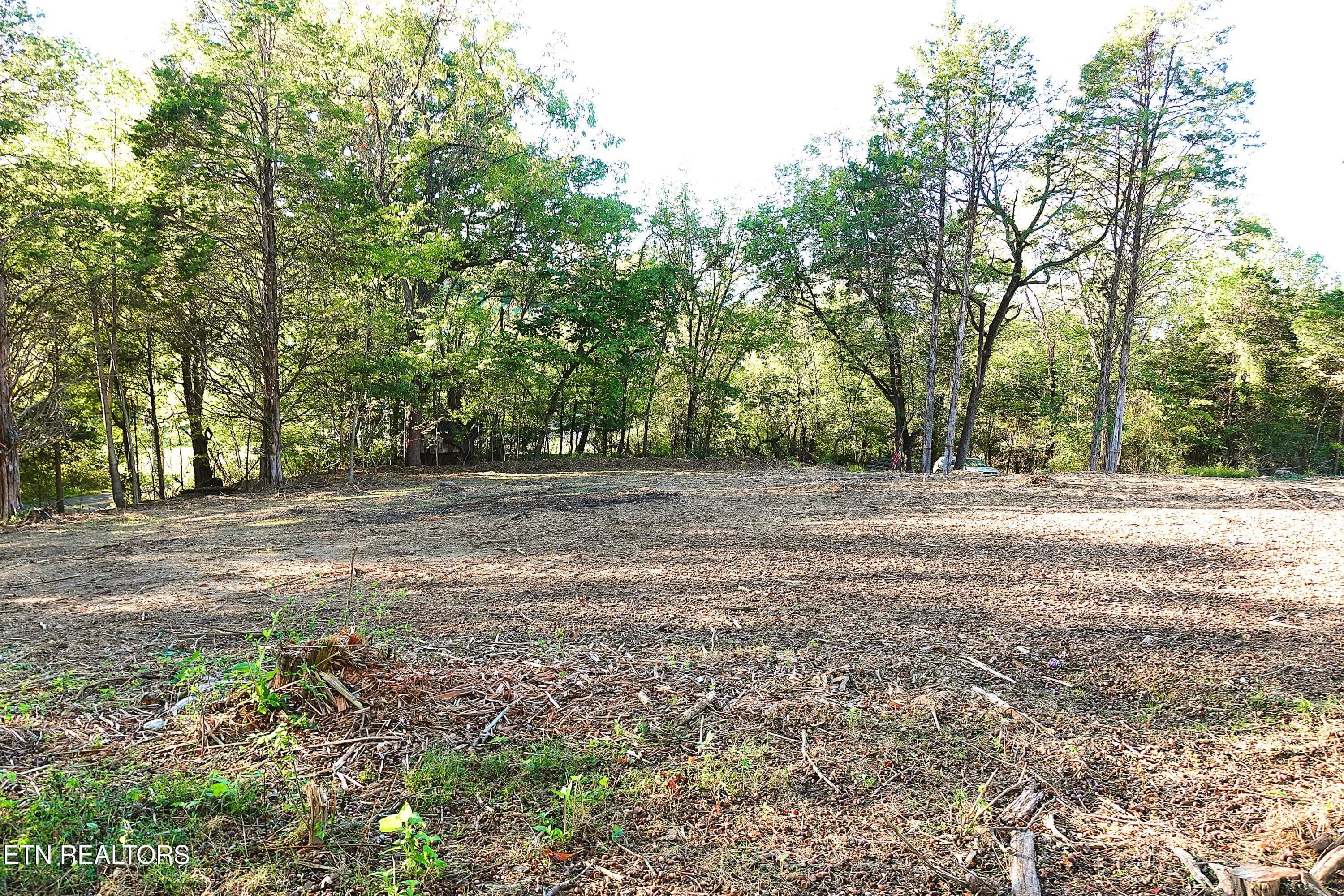 Lot 1 5 - Williams Bend Rd Lot 1, Knoxville, TN 37932, Knoxville