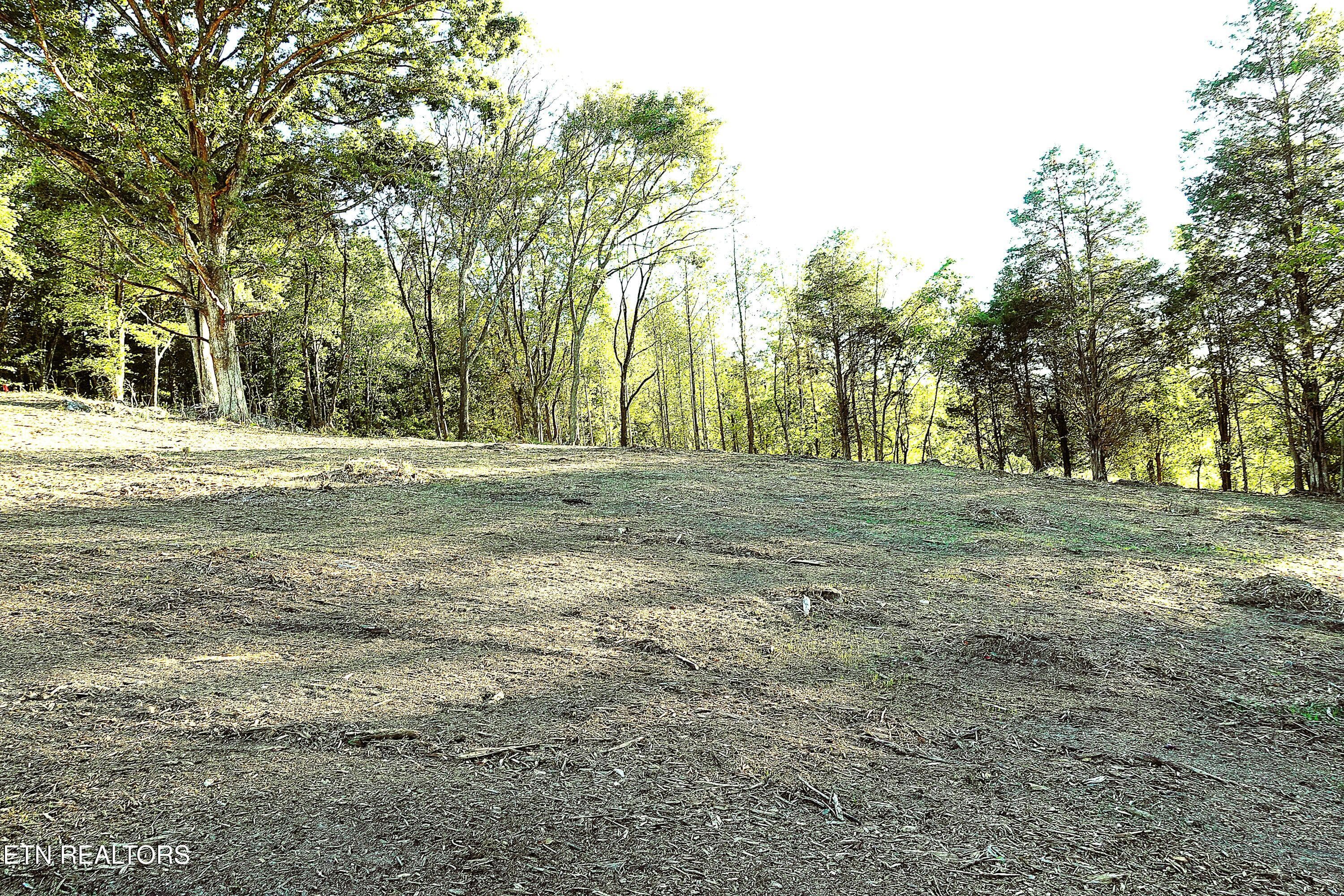 Lot1 31 - Williams Bend Rd Lot 1, Knoxville, TN 37932, Knoxville
