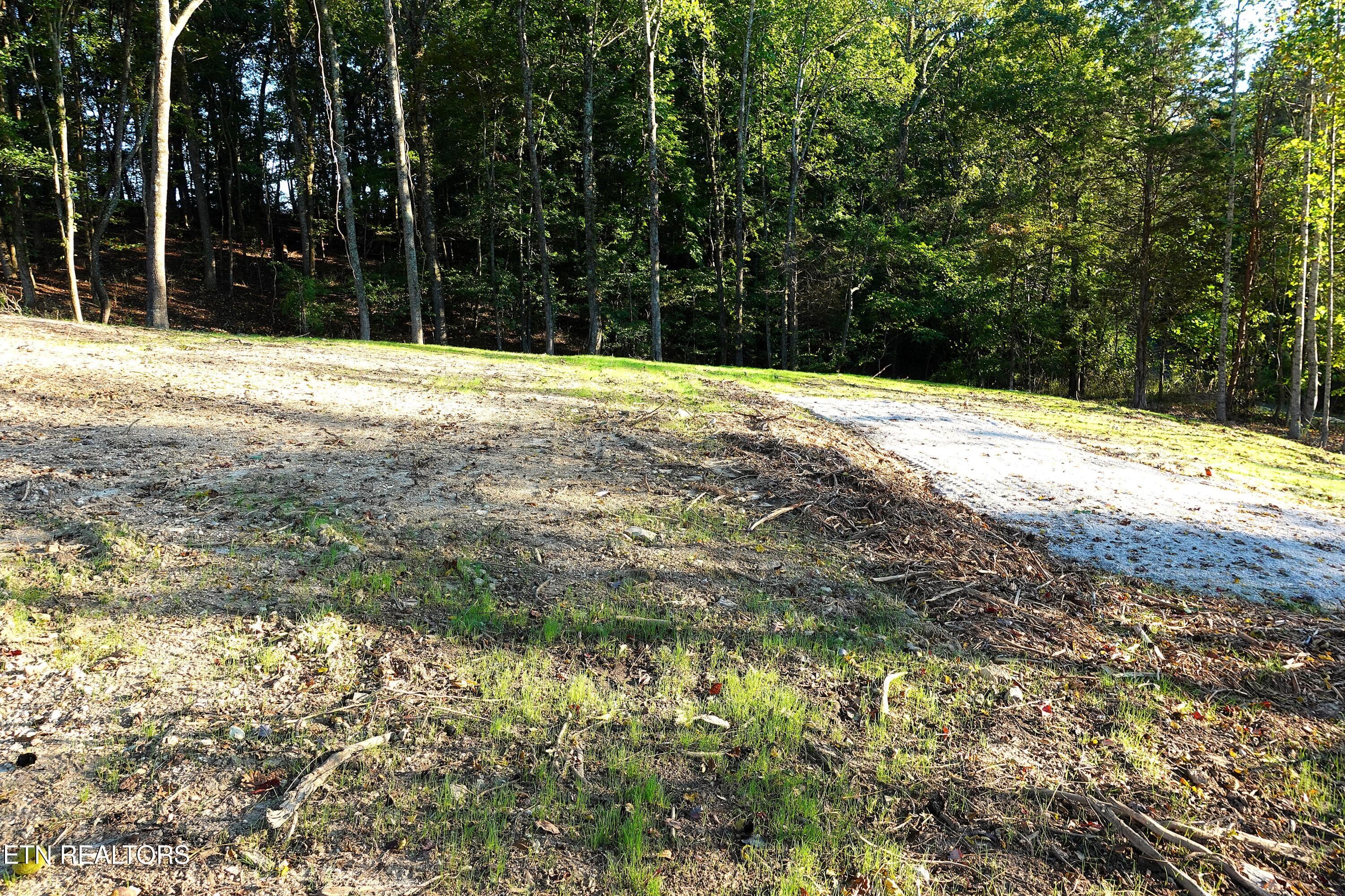 Lot 2 1 - Williams Bend Rd Lot 2, Knoxville, TN 37932, Knoxville