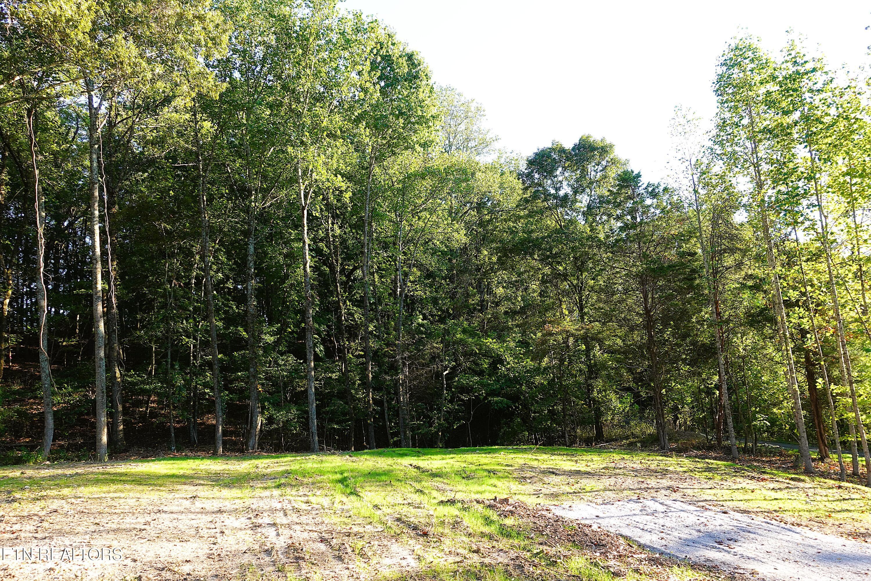 Lot 2 2 - Williams Bend Rd Lot 2, Knoxville, TN 37932, Knoxville