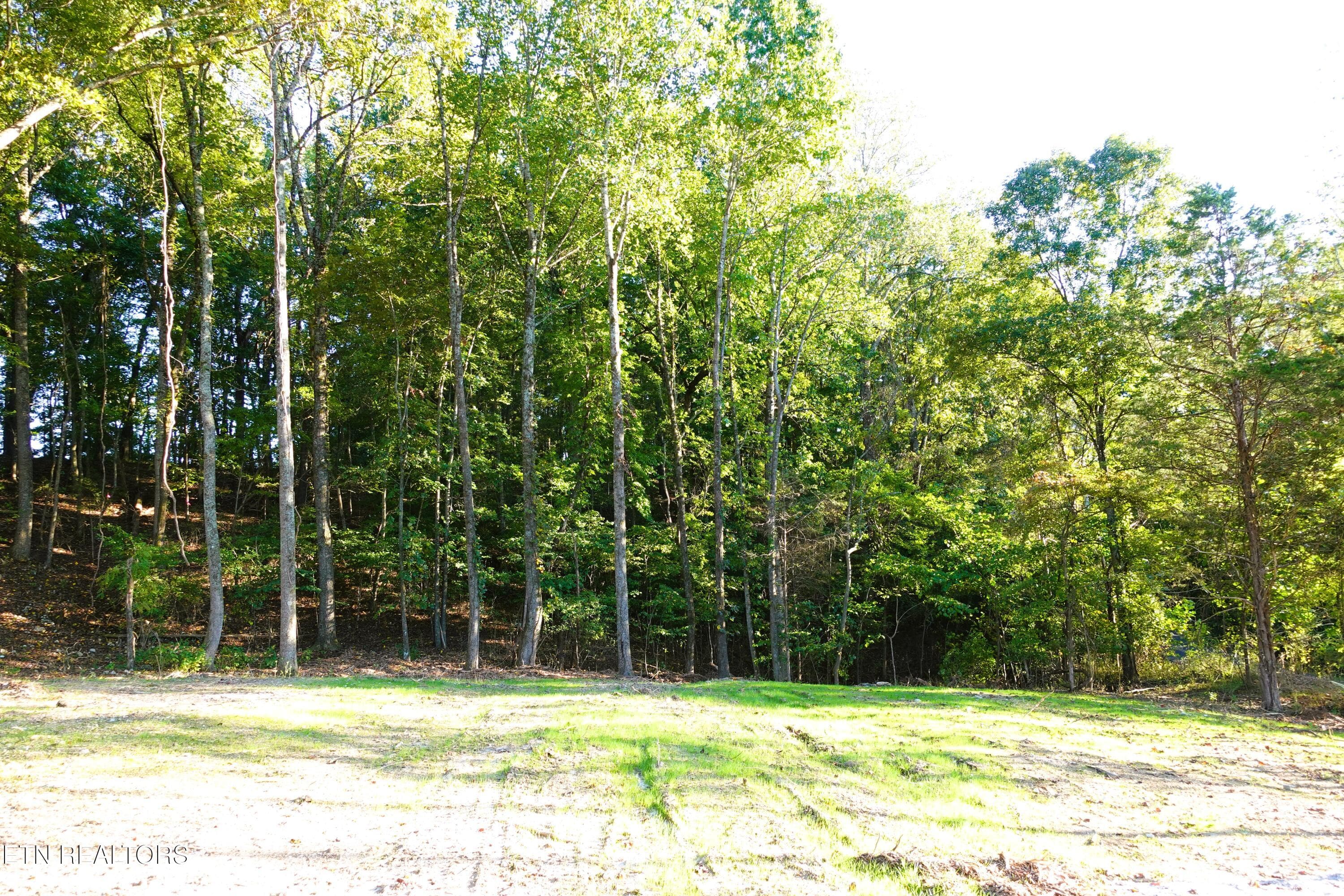 Lot 2 3 - Williams Bend Rd Lot 2, Knoxville, TN 37932, Knoxville