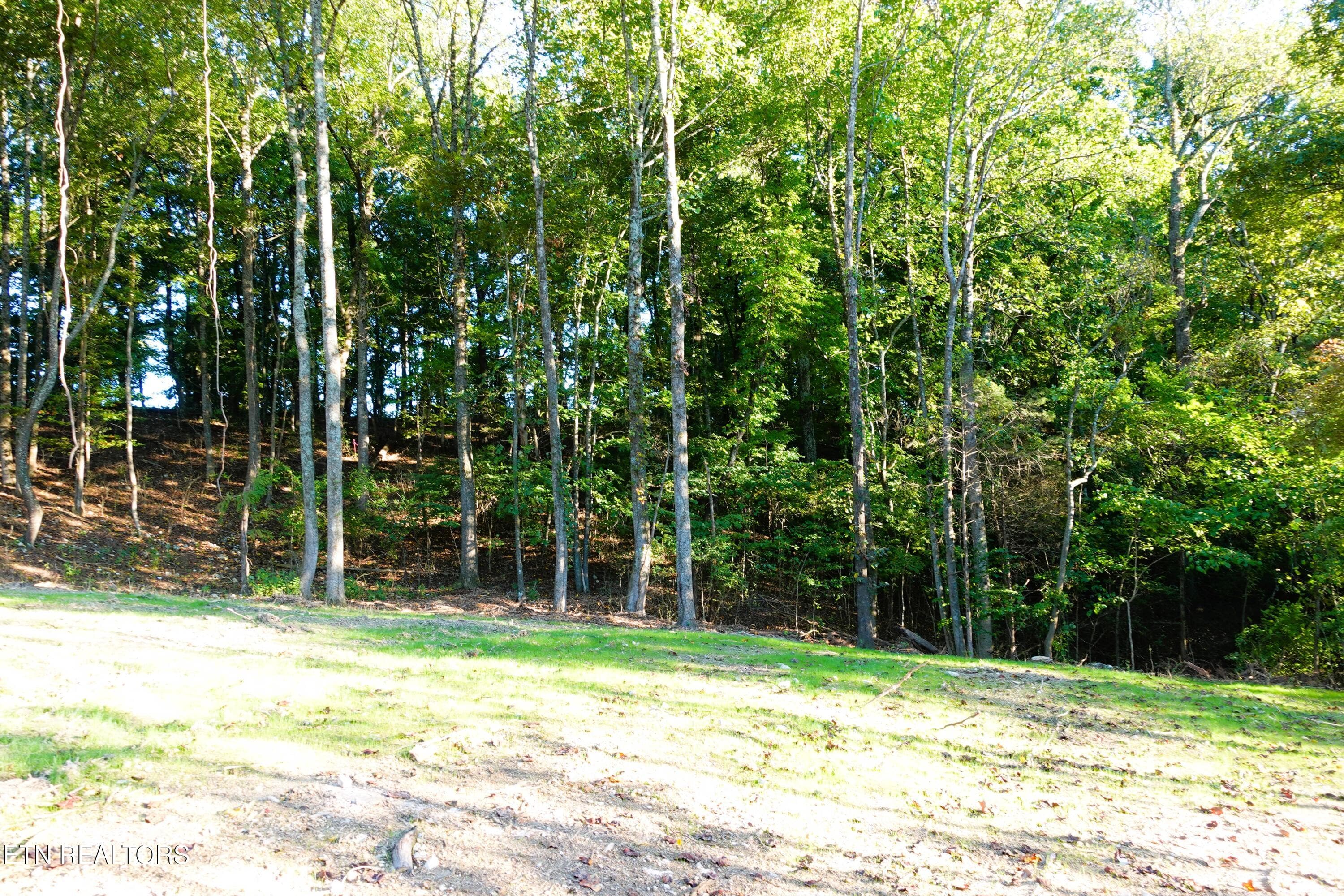 Lot 2 4 - Williams Bend Rd Lot 2, Knoxville, TN 37932, Knoxville