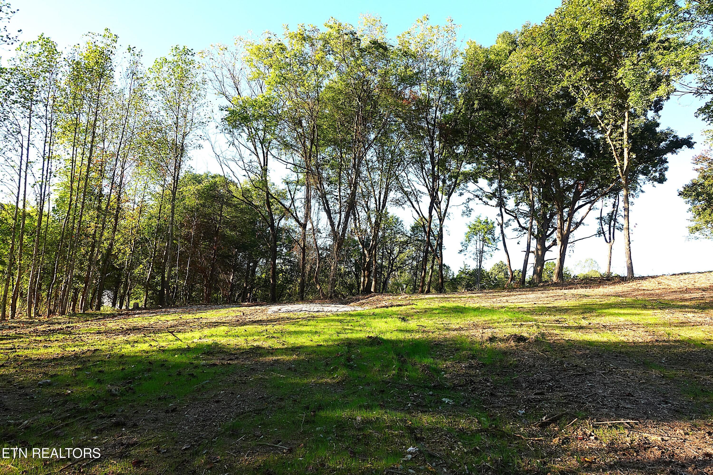 Lot 2 5 - Williams Bend Rd Lot 2, Knoxville, TN 37932, Knoxville