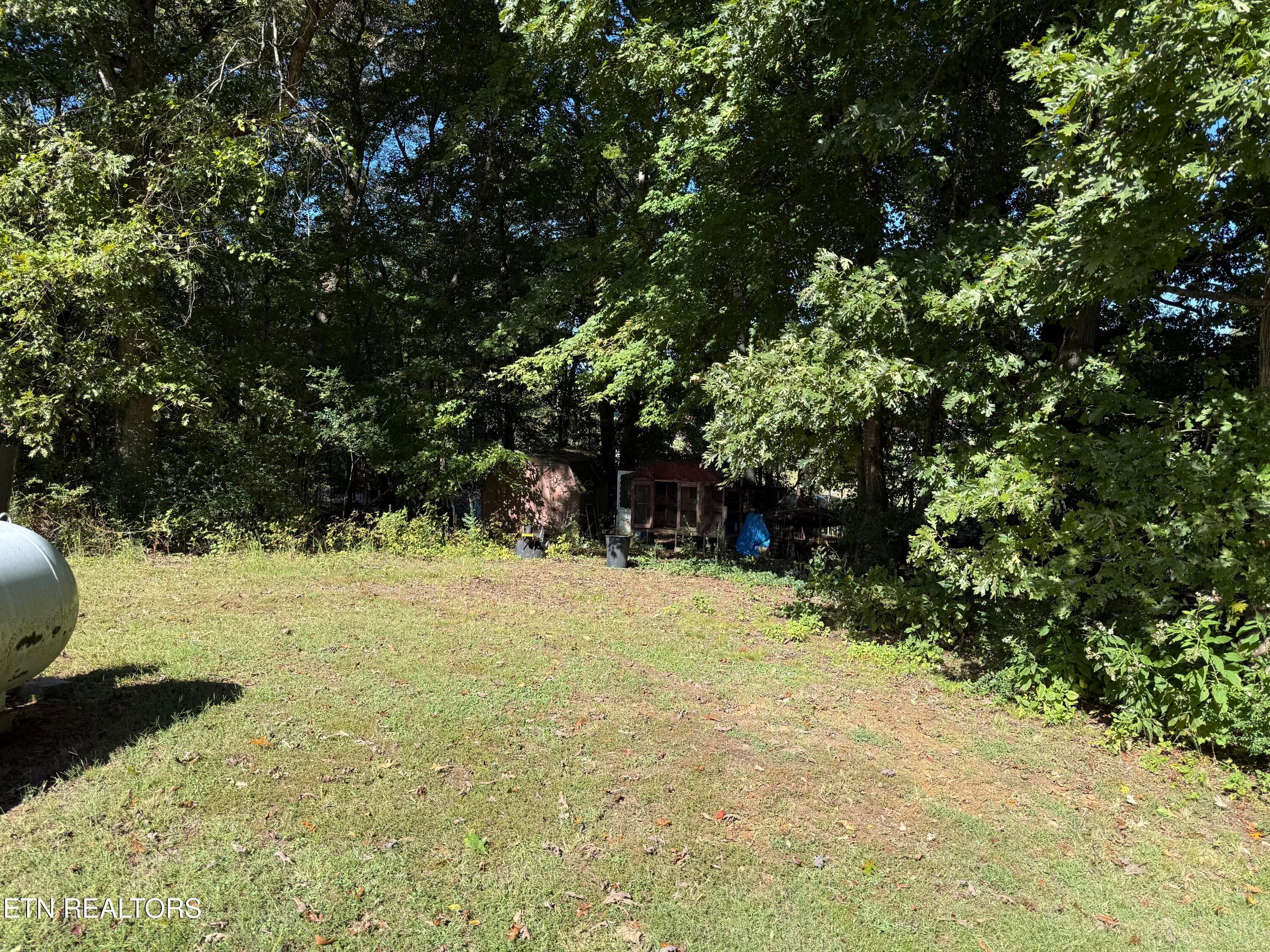 IMG_4544 - 117 Arrowhead Tr, Kingston, TN 37763