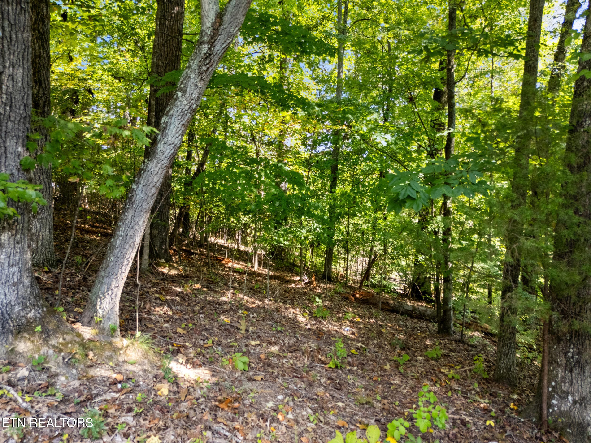 2215 viewcrest lane-07 - 2215 Viewcrest Lane, Knoxville, TN 37932, Knoxville