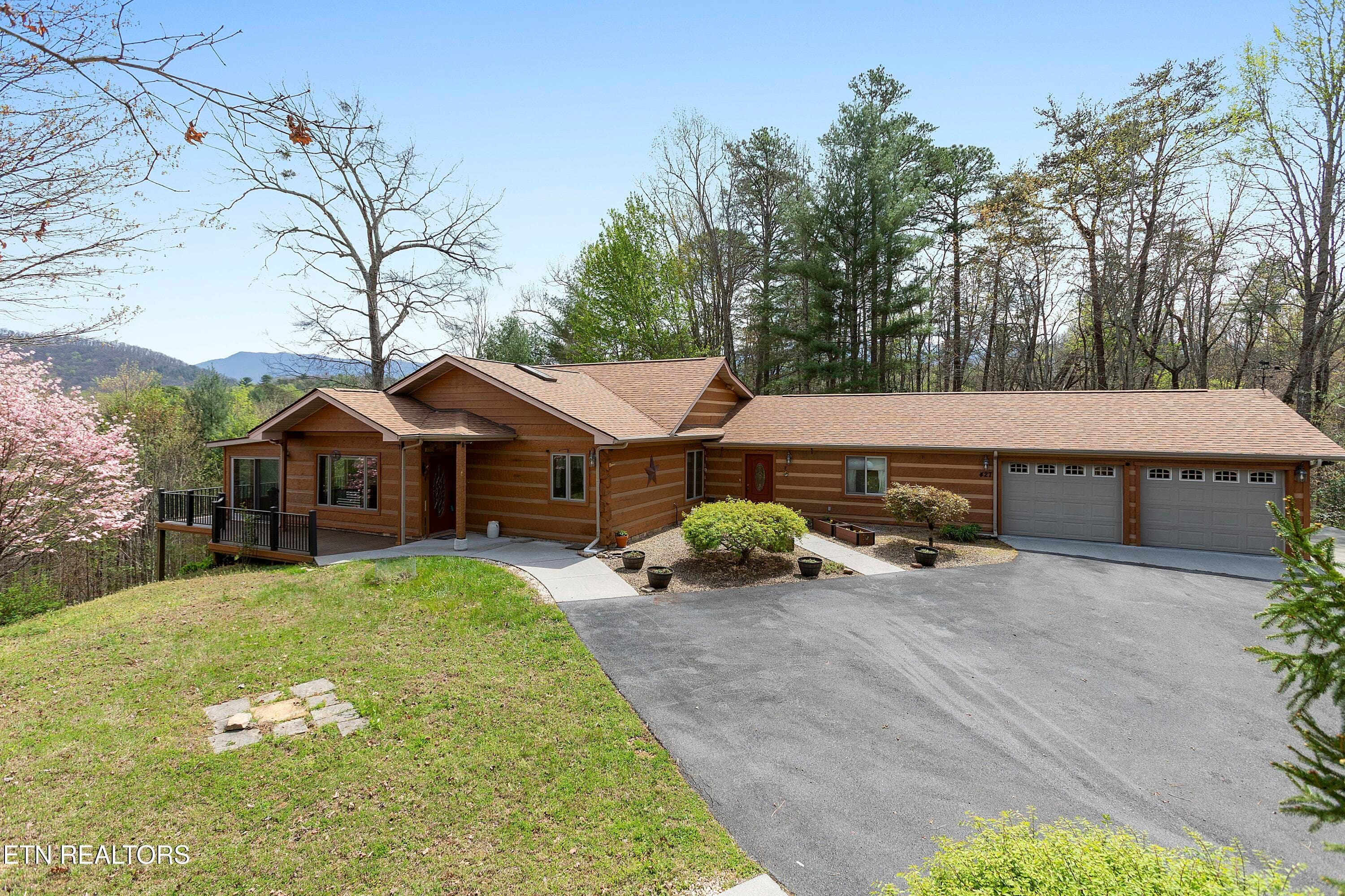 IMG_8206 - 427 Gold Rd, Cosby, TN 37722, Cosby