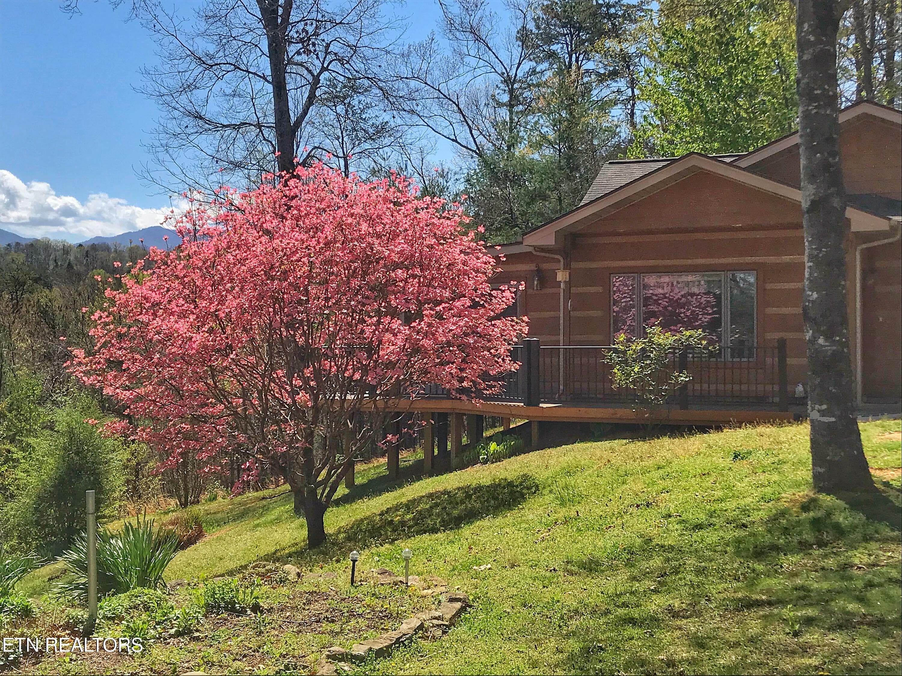 IMG_7844 2 - 427 Gold Rd, Cosby, TN 37722, Cosby