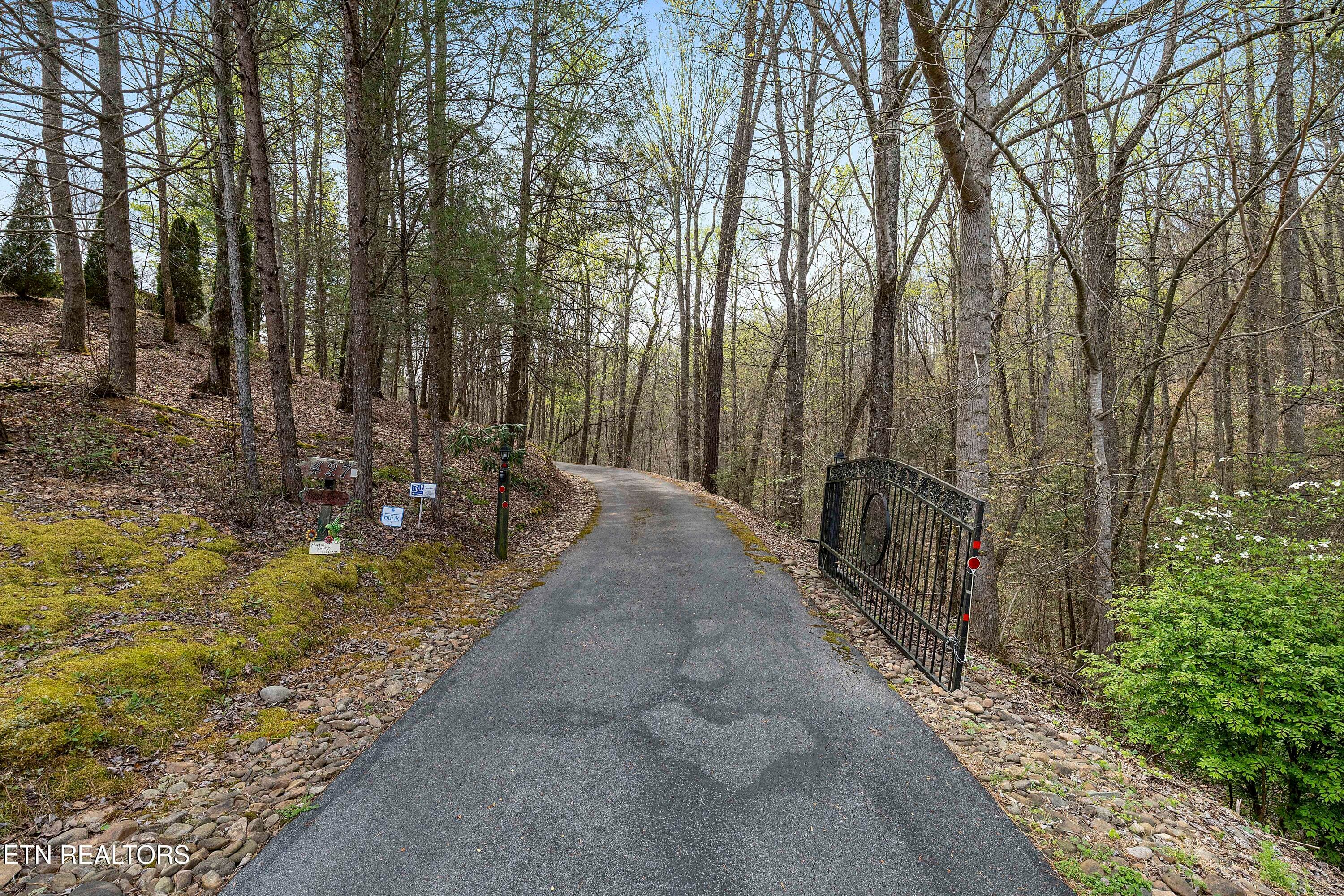 L40A8081 - 427 Gold Rd, Cosby, TN 37722, Cosby