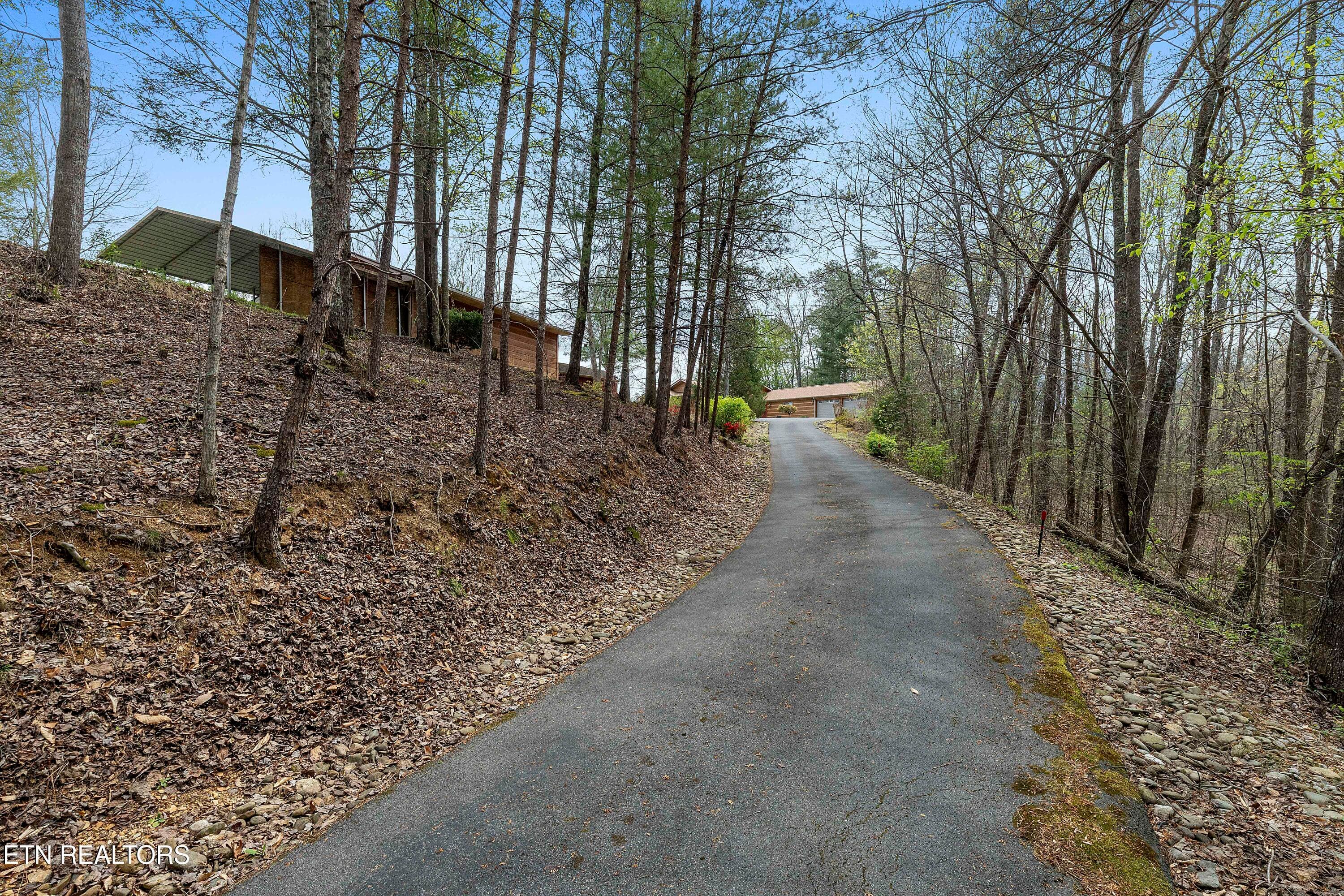 L40A8084 - 427 Gold Rd, Cosby, TN 37722, Cosby